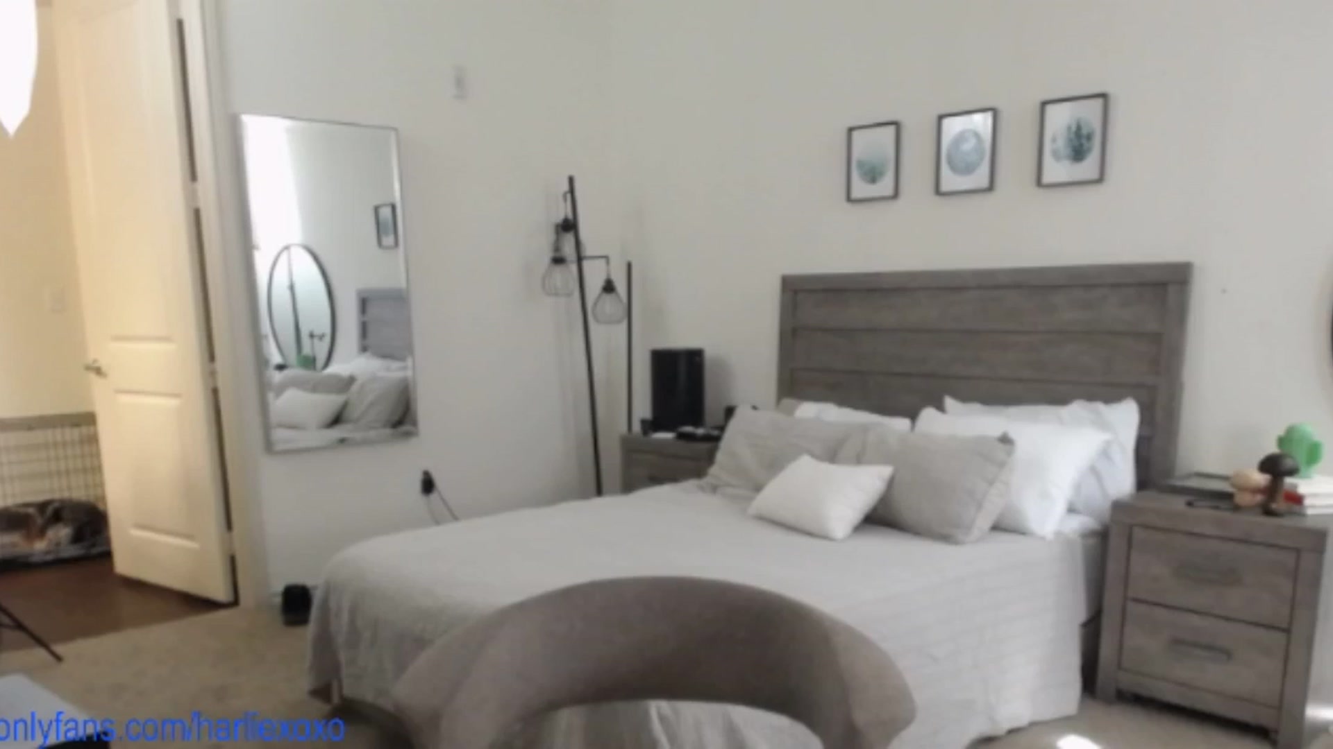 Gallery image thumbnail from SweetHarlie's myfreecams stream on, 05/13/2025, 21:25 image 17 of 20
