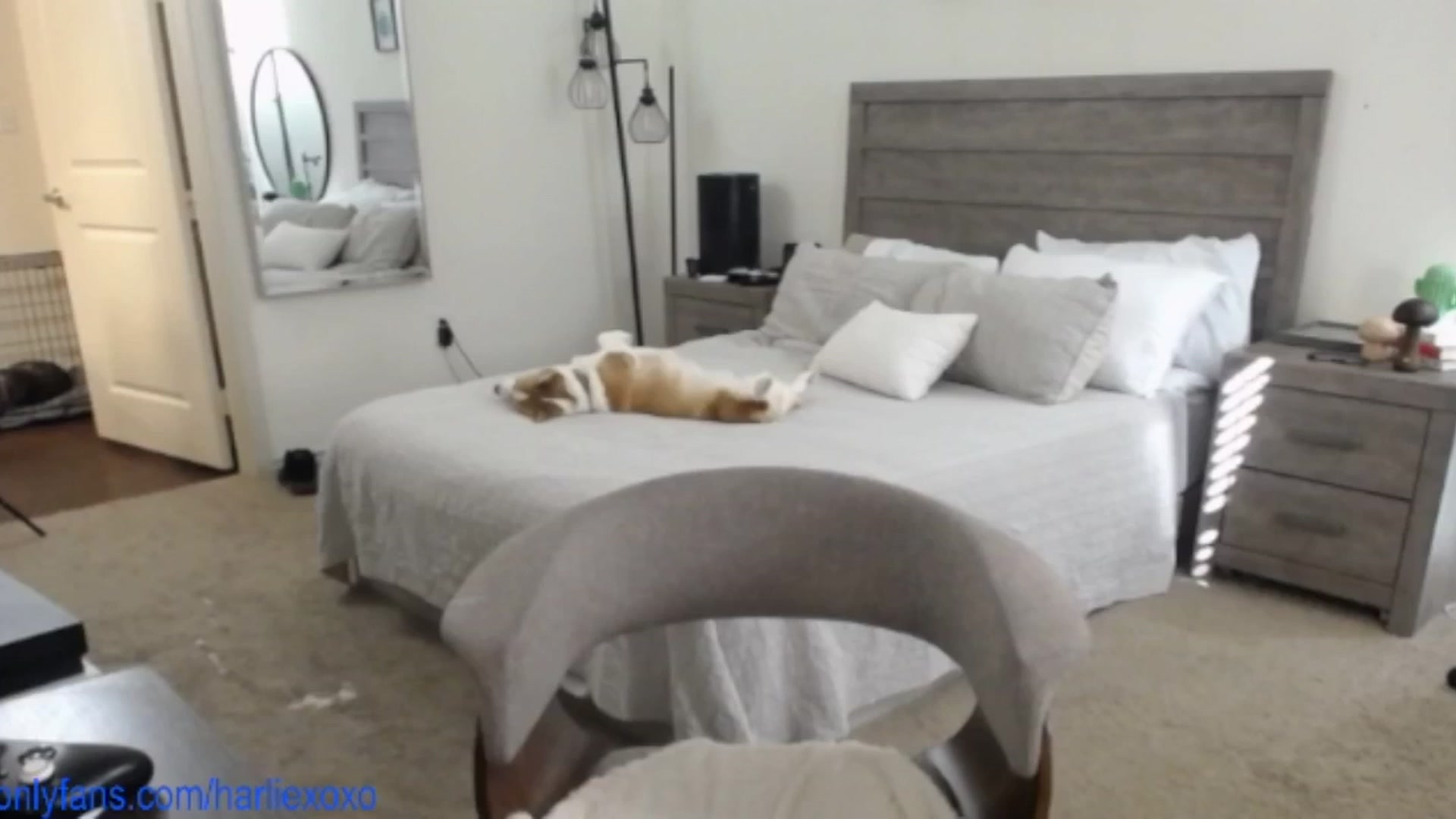 Gallery image thumbnail from SweetHarlie's myfreecams stream on, 05/13/2025, 22:13 image 20 of 20