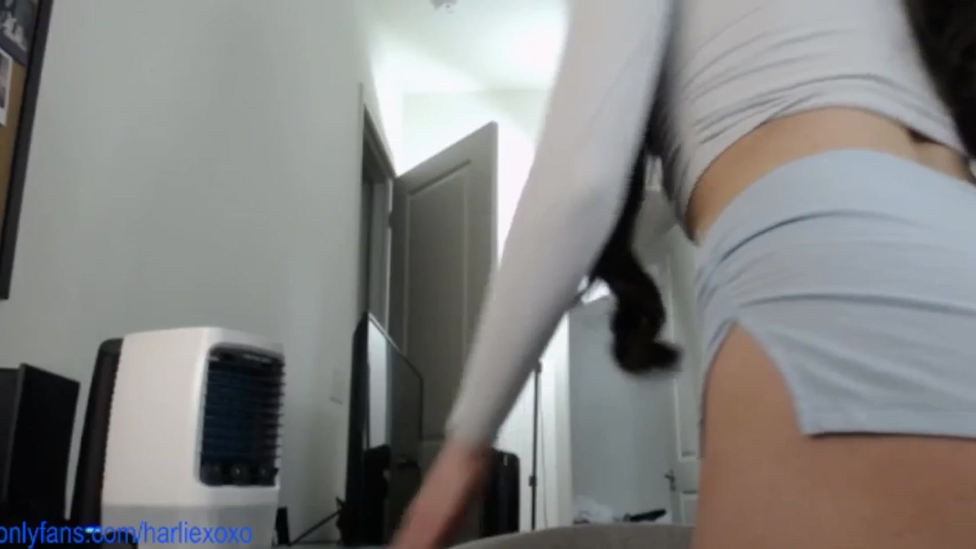 Gallery image thumbnail from SweetHarlie's myfreecams stream on, 08/08/2025, 19:45 image 8 of 20