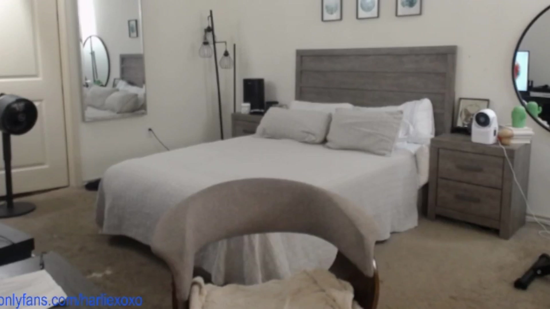 Gallery image thumbnail from SweetHarlie's myfreecams stream on, 08/19/2025, 23:17 image 20 of 20