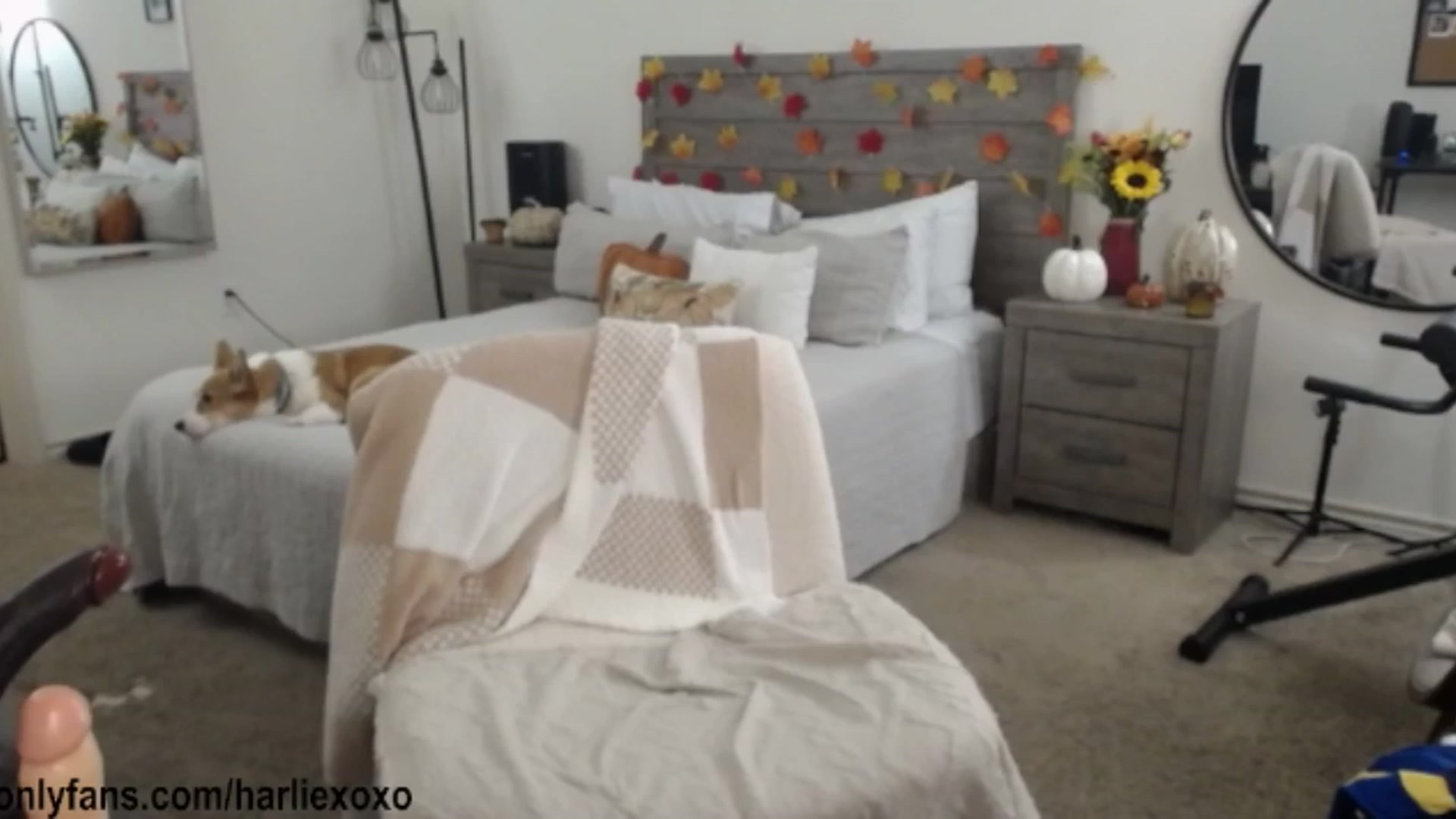 Gallery image thumbnail from SweetHarlie's myfreecams stream on, 10/24/2025, 22:49 image 19 of 20