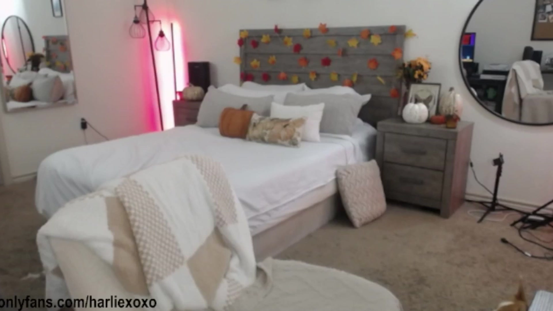 Gallery image thumbnail from SweetHarlie's myfreecams stream on, 11/02/2025, 01:53 image 13 of 20
