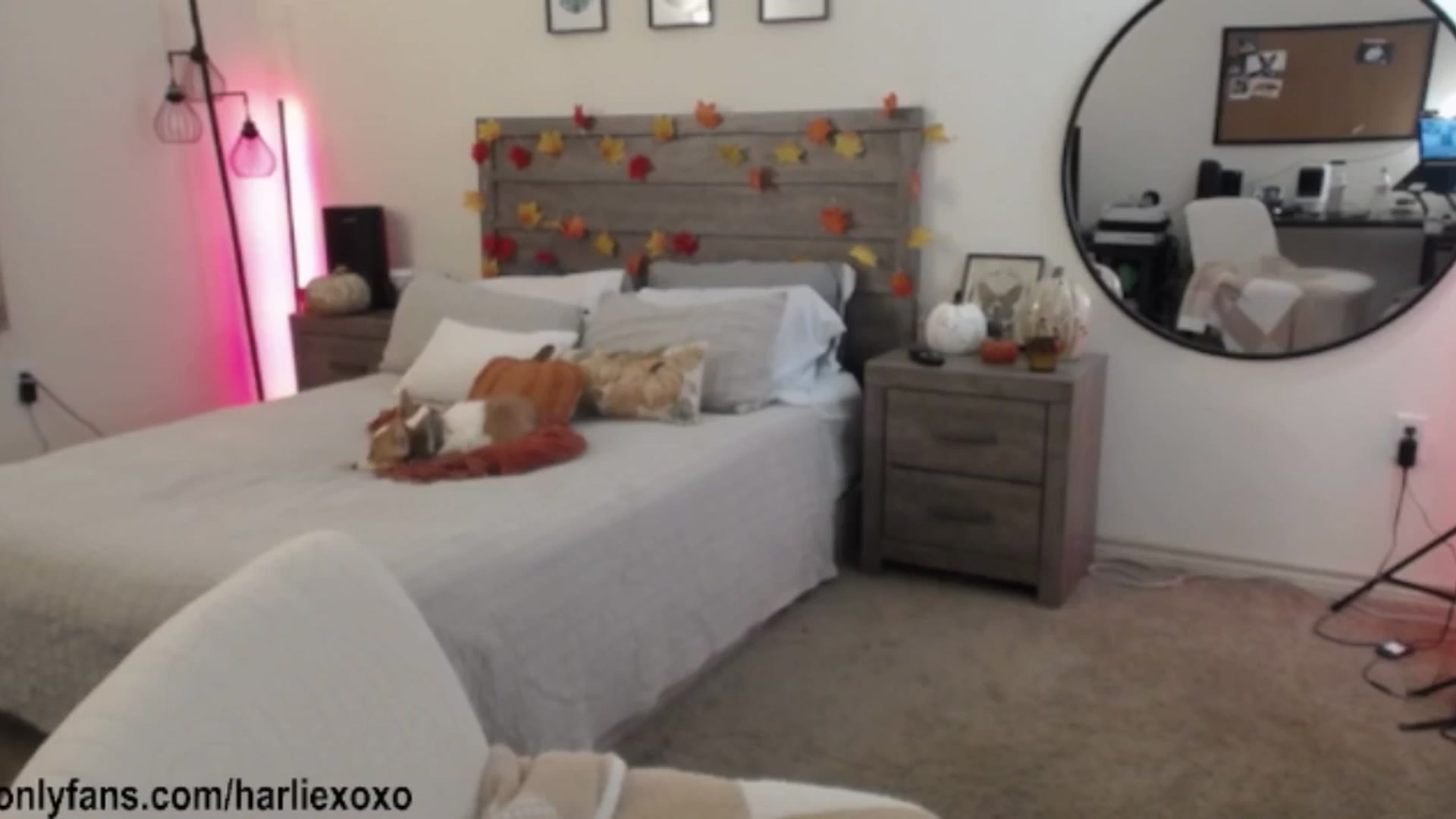 Gallery image thumbnail from SweetHarlie's myfreecams stream on, 11/30/2025, 04:03 image 19 of 20