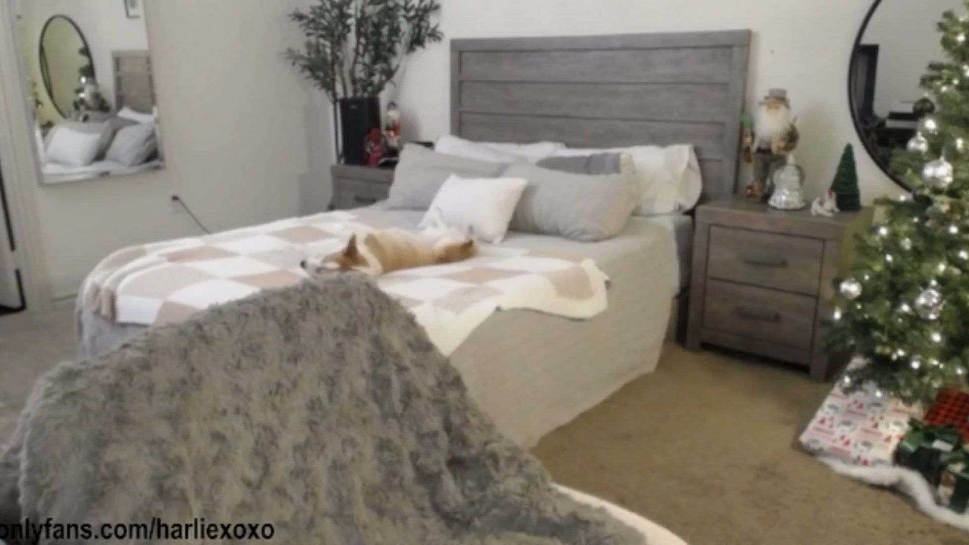 Gallery image thumbnail from SweetHarlie's myfreecams stream on, 12/19/2025, 23:28 image 20 of 20