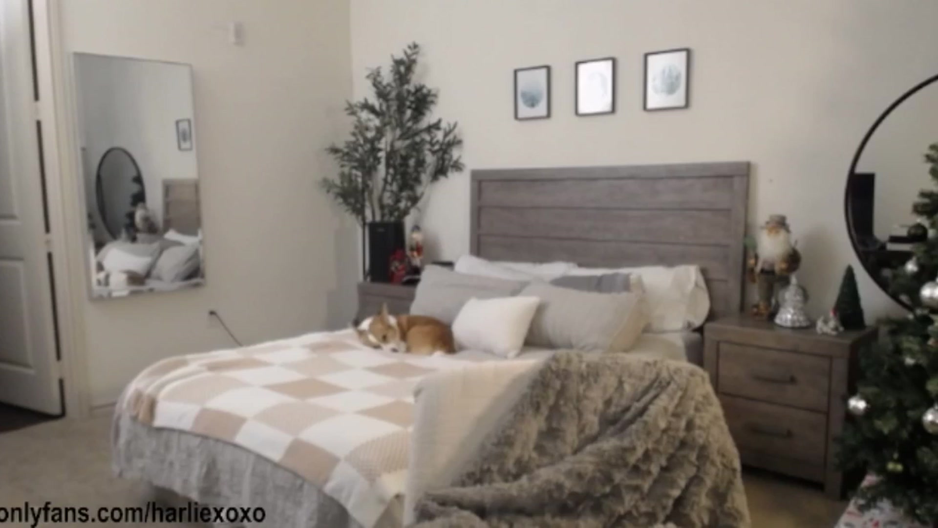 Gallery image thumbnail from SweetHarlie's myfreecams stream on, 12/20/2025, 24:59 image 4 of 20