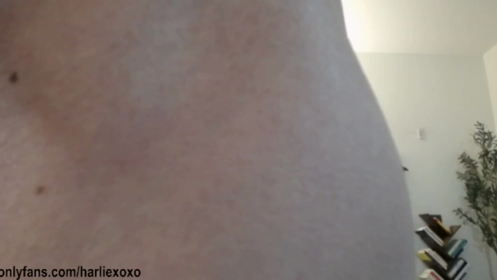 Gallery image thumbnail from SweetHarlie's myfreecams stream on, 01/15/2026, 02:07 image 15 of 20