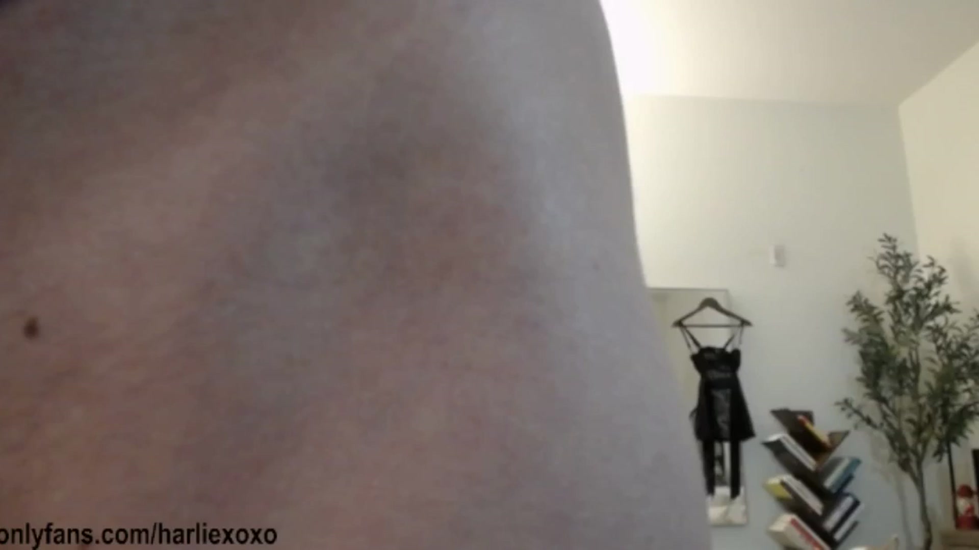 Gallery image thumbnail from SweetHarlie's myfreecams stream on, 01/15/2026, 02:07 image 2 of 20