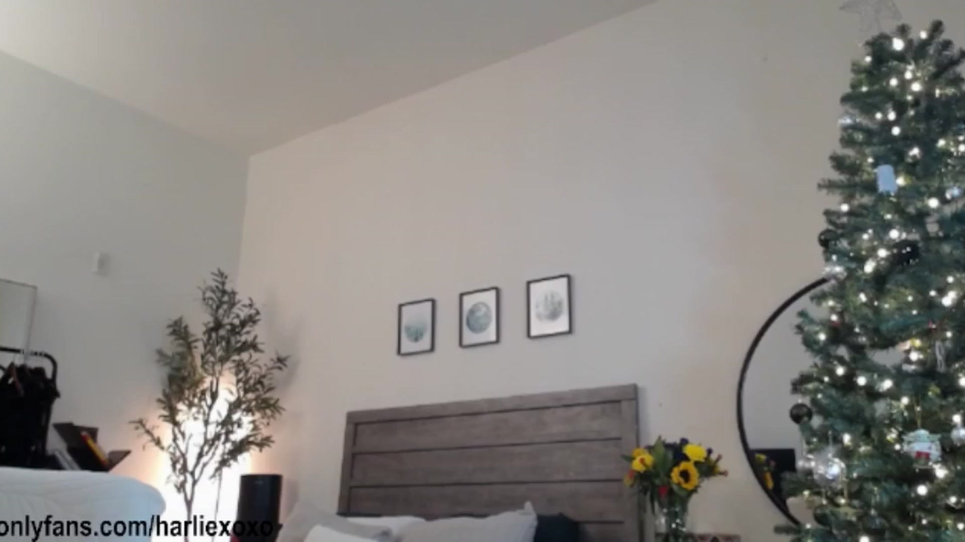 Gallery image thumbnail from SweetHarlie's myfreecams stream on, 02/13/2026, 01:02 image 10 of 20