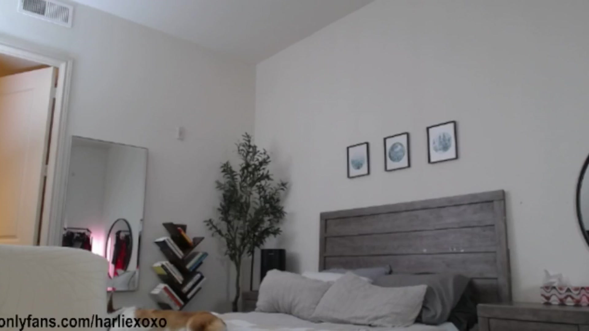 Gallery image thumbnail from SweetHarlie's myfreecams stream on, 03/28/2026, 04:52 image 8 of 20