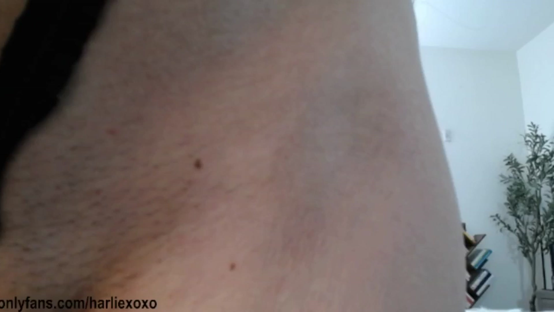 Gallery image thumbnail from SweetHarlie's myfreecams stream on, 04/15/2026, 03:02 image 10 of 20