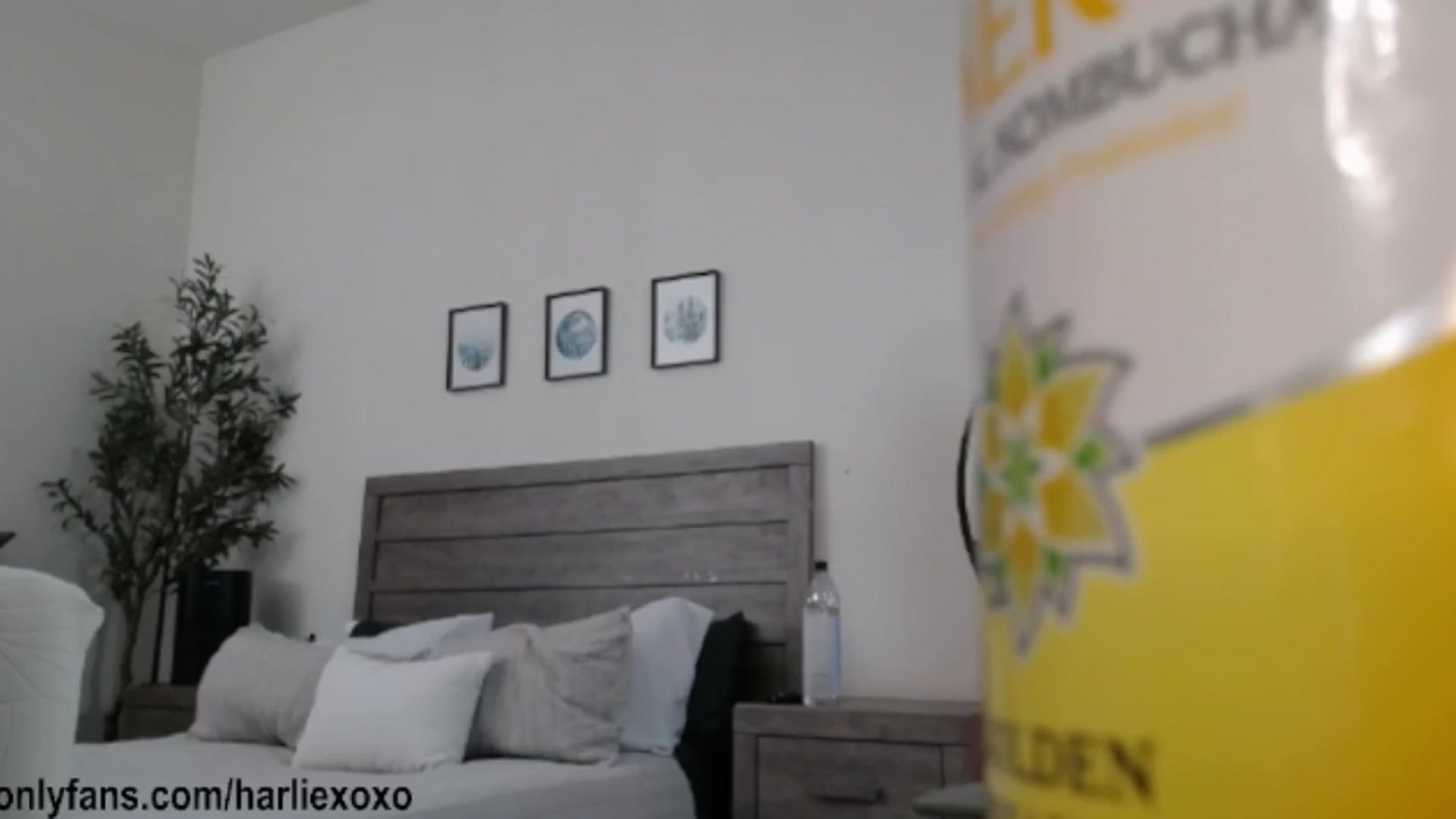 Gallery image thumbnail from SweetHarlie's myfreecams stream on, 05/02/2026, 01:59 image 14 of 20