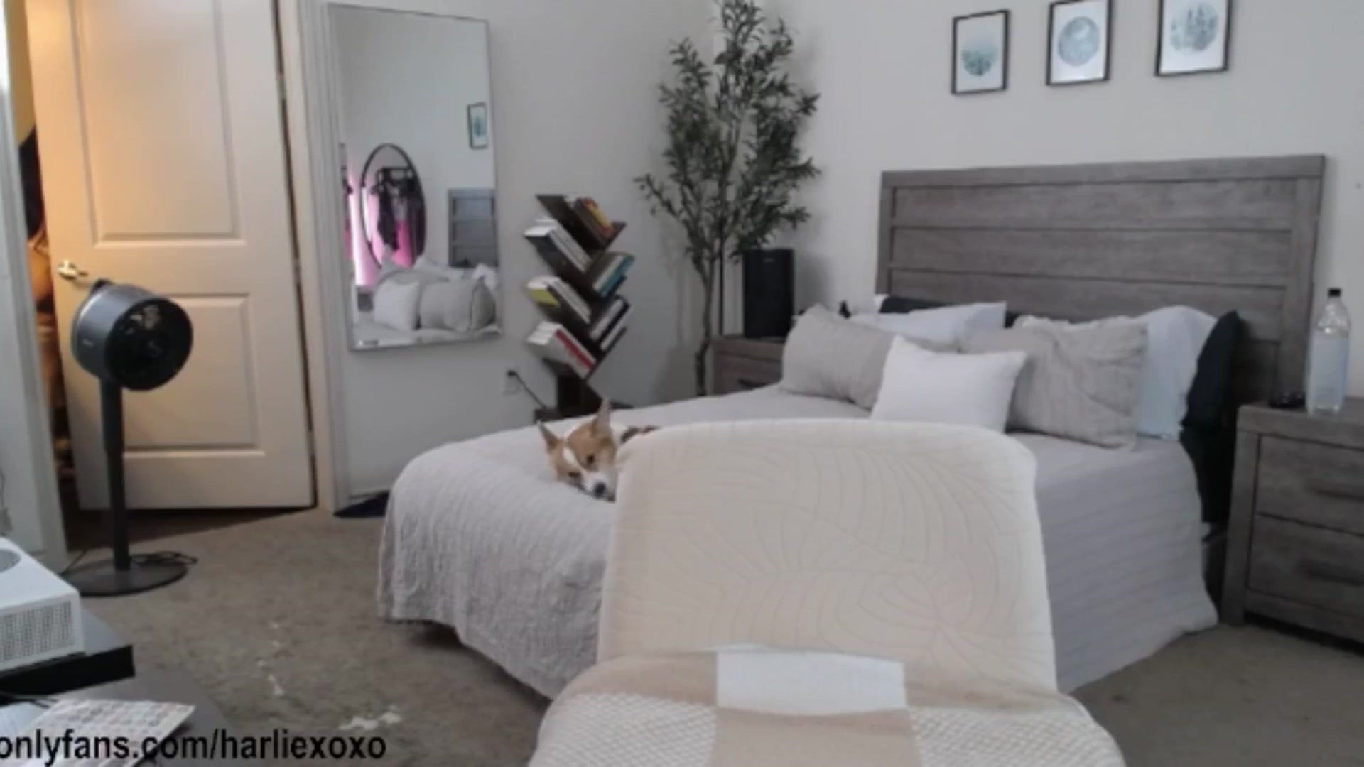 Gallery image thumbnail from SweetHarlie's myfreecams stream on, 05/02/2026, 01:59 image 18 of 20