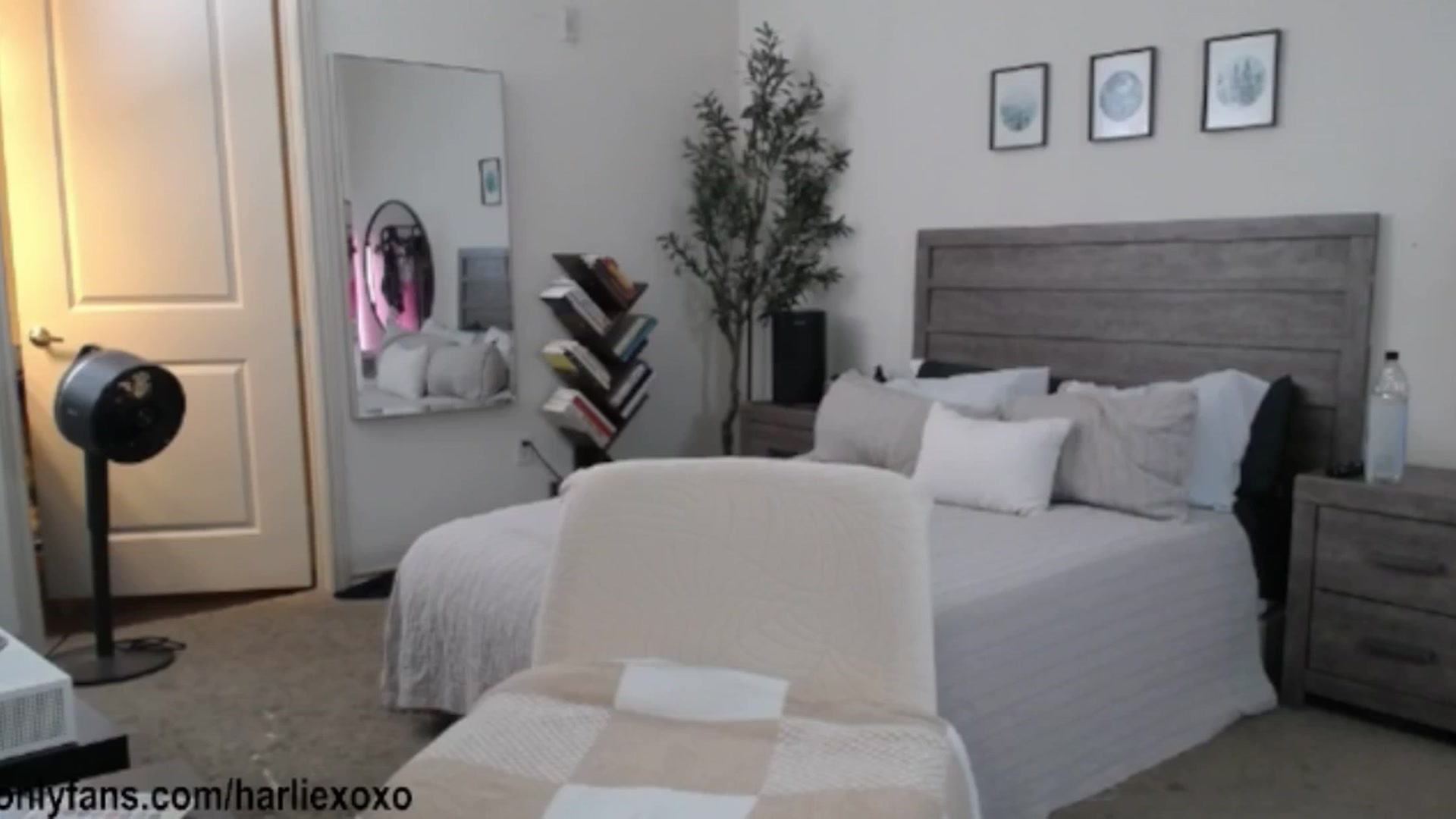 Gallery image thumbnail from SweetHarlie's myfreecams stream on, 05/02/2026, 01:59 image 13 of 20