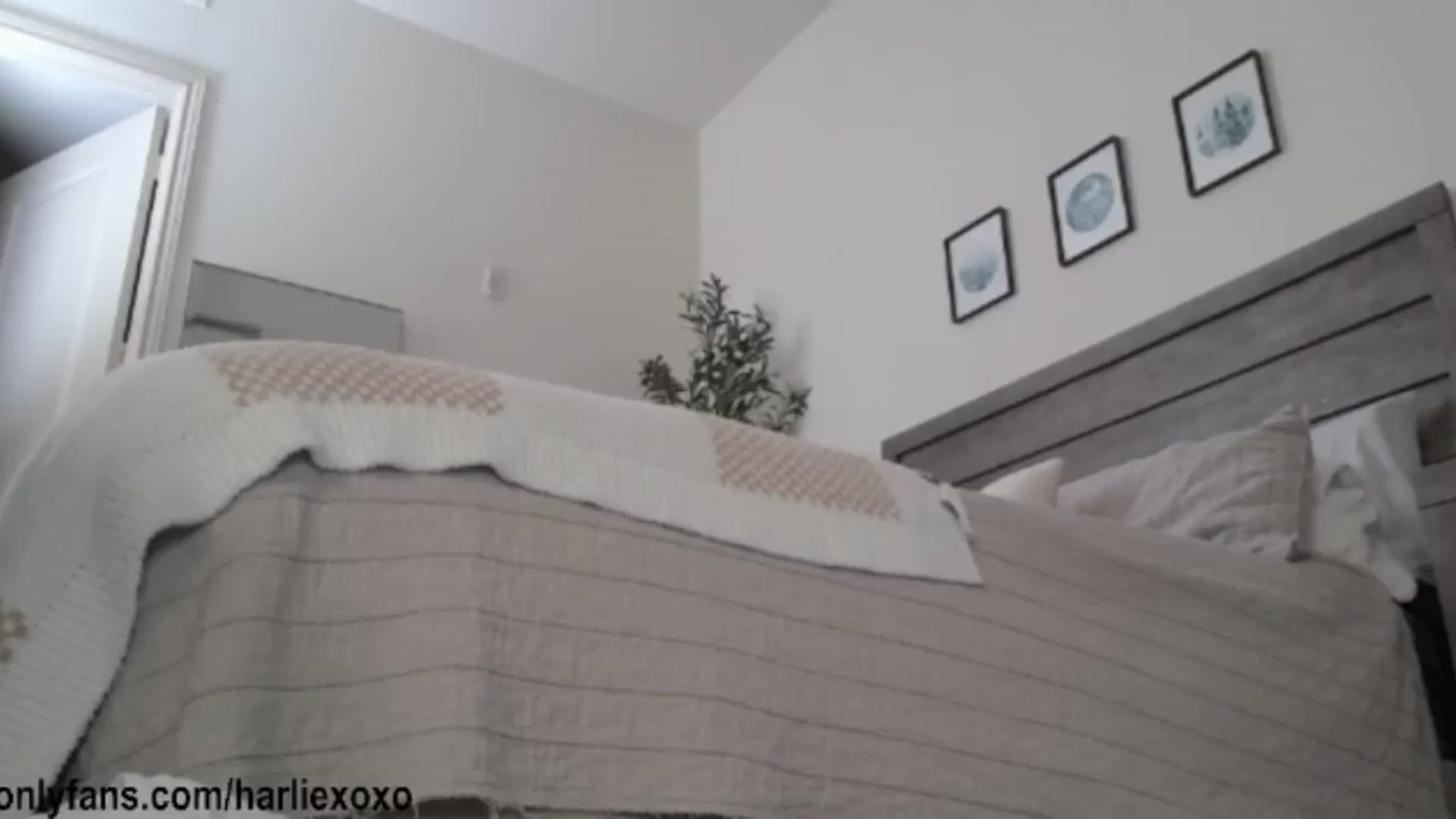 Gallery image thumbnail from SweetHarlie's myfreecams stream on, 05/30/2026, 04:11 image 12 of 20