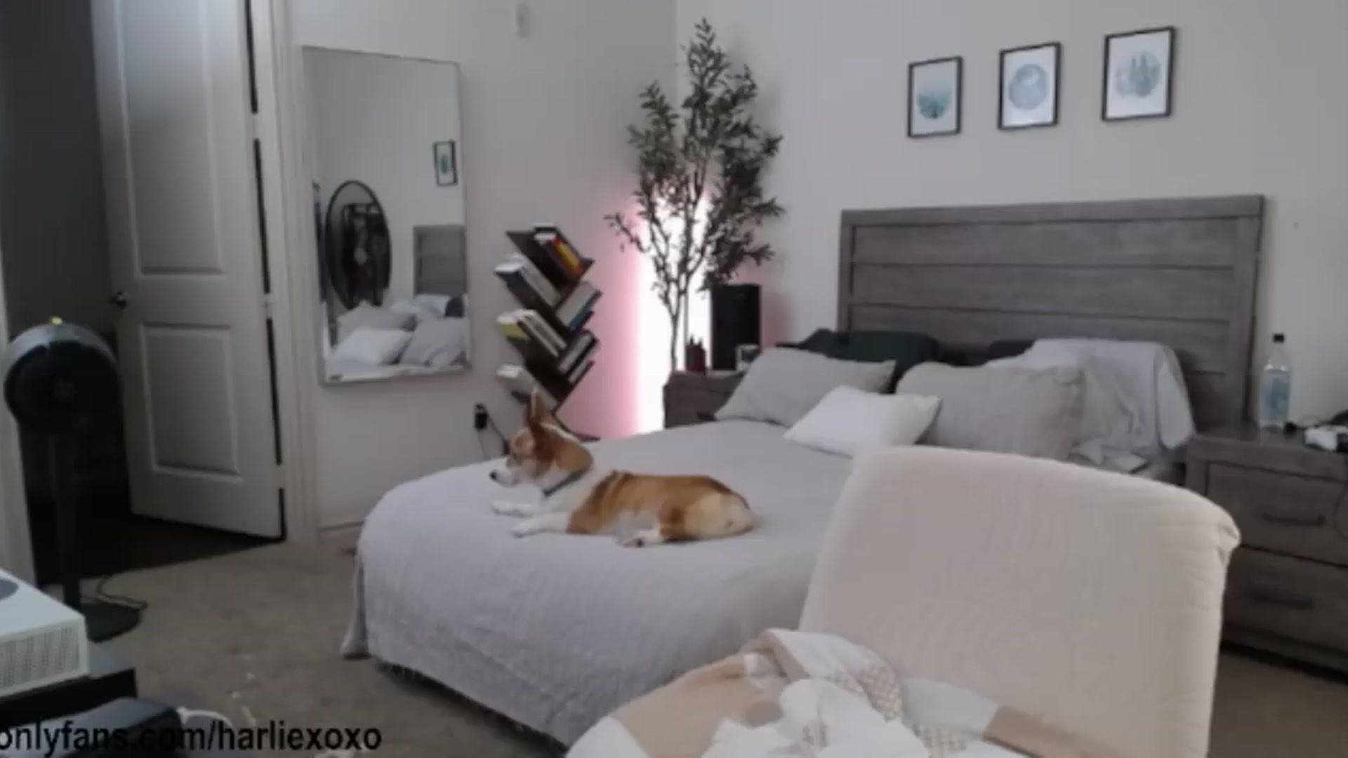Gallery image thumbnail from SweetHarlie's myfreecams stream on, 06/28/2026, 01:29 image 17 of 20