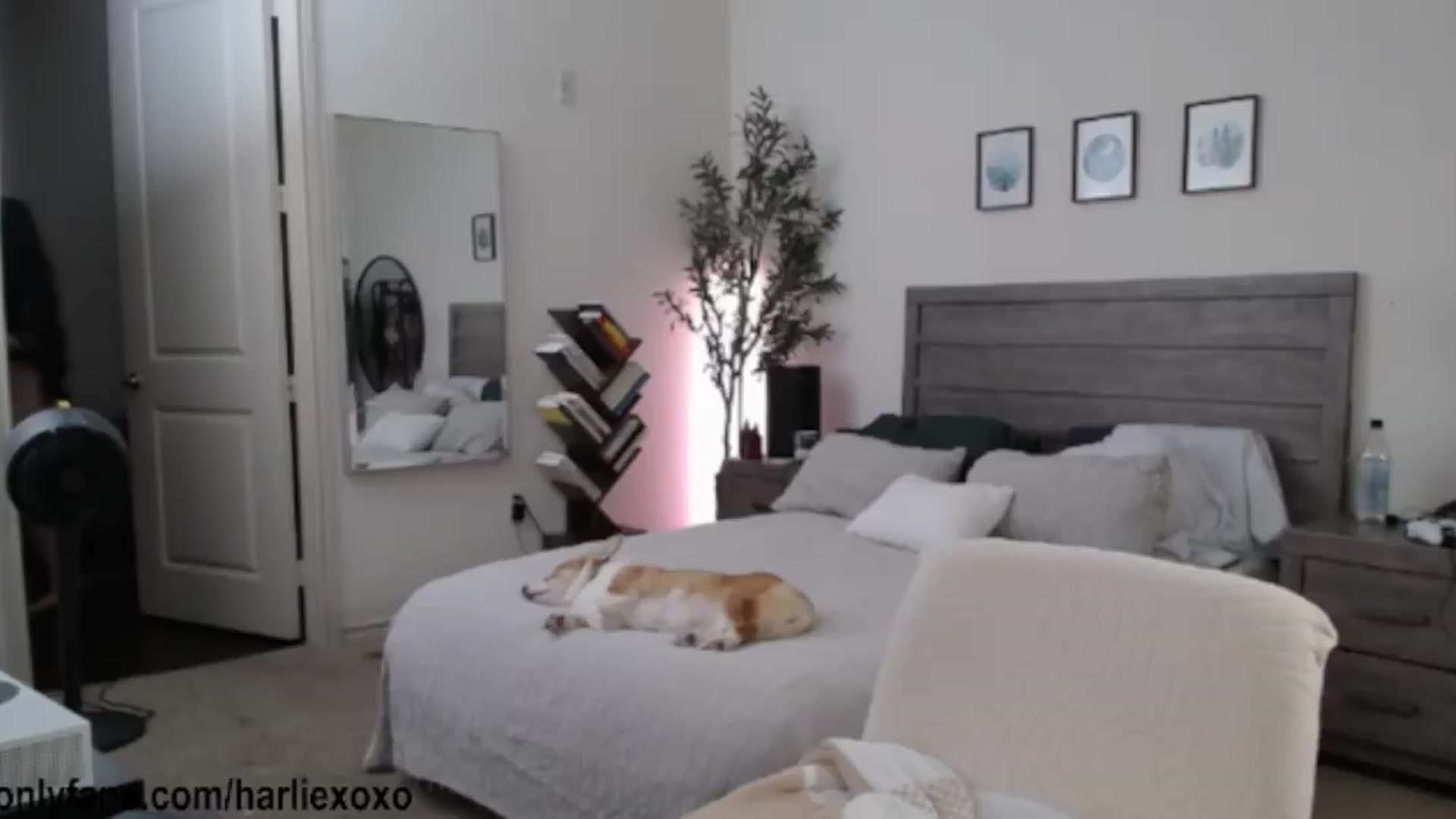Gallery image thumbnail from SweetHarlie's myfreecams stream on, 06/28/2026, 01:29 image 13 of 20