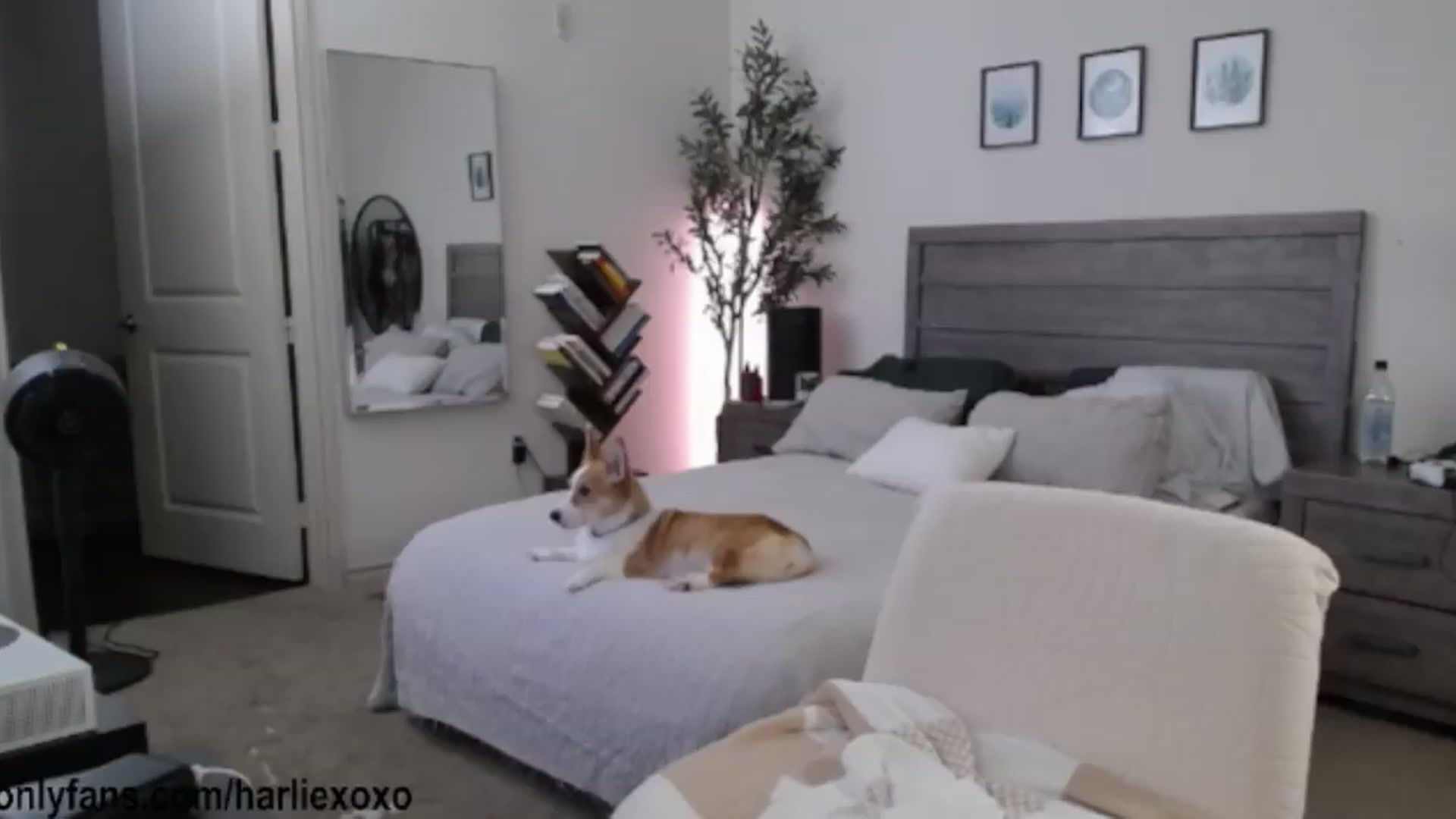 Gallery image thumbnail from SweetHarlie's myfreecams stream on, 06/28/2026, 01:29 image 15 of 20