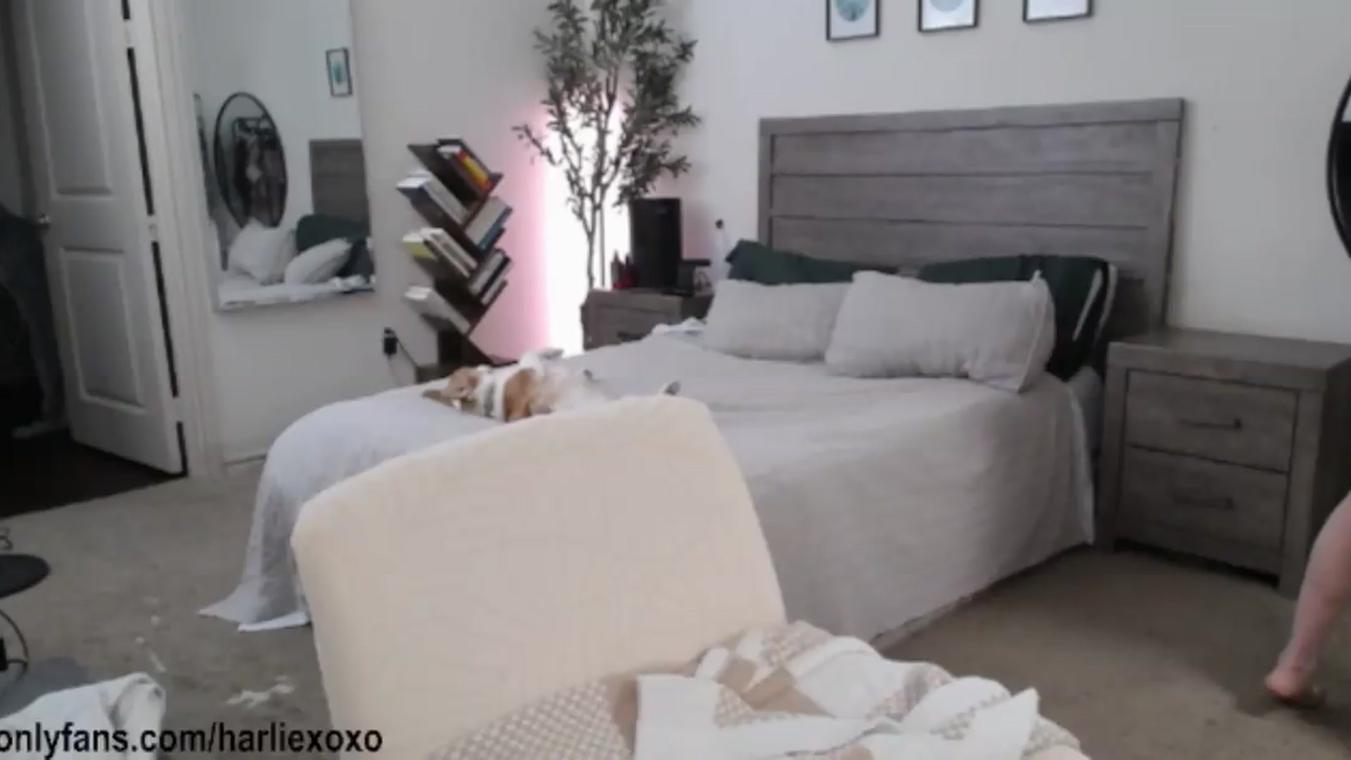 Gallery image thumbnail from SweetHarlie's myfreecams stream on, 07/08/2026, 01:10 image 20 of 20