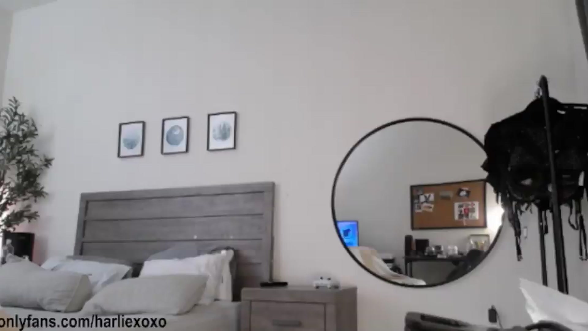 Gallery image thumbnail from SweetHarlie's myfreecams stream on, 08/04/2026, 02:40 image 18 of 20