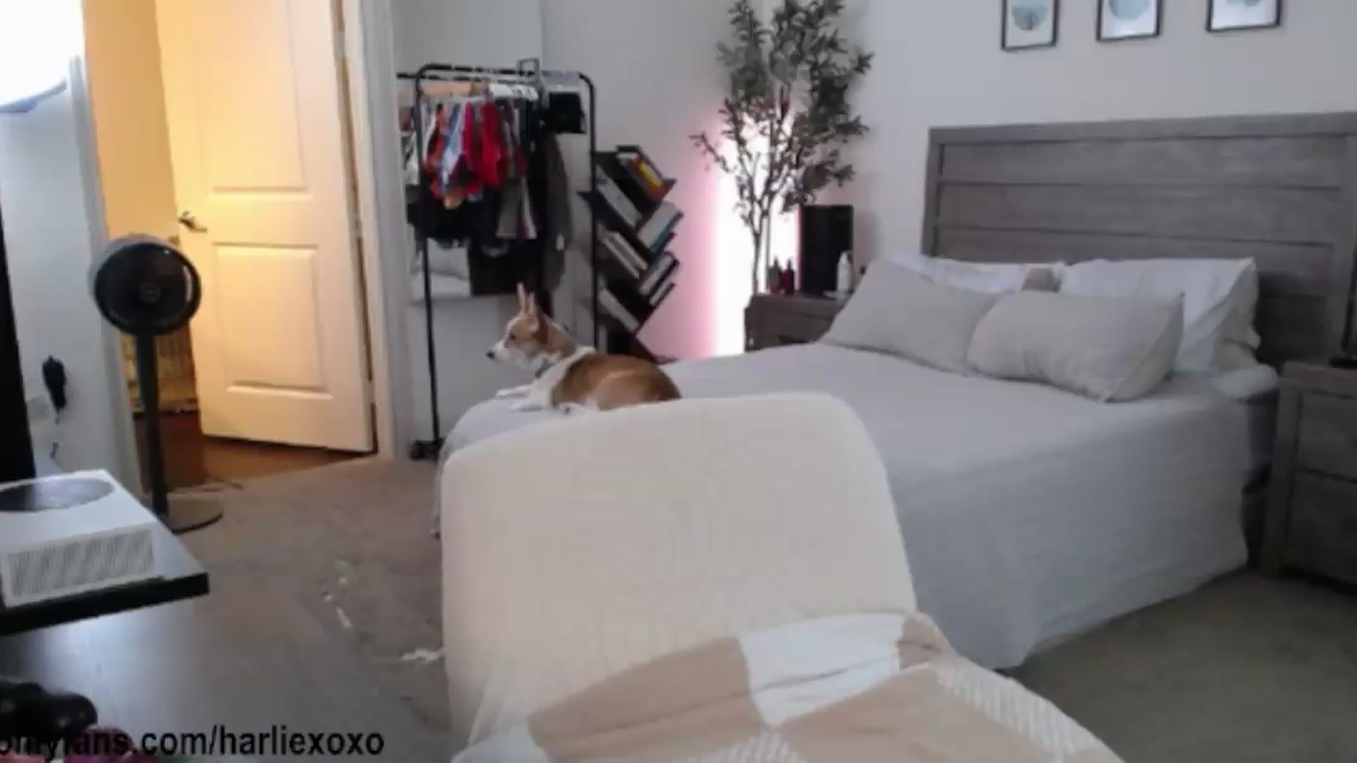 Gallery image thumbnail from SweetHarlie's myfreecams stream on, 08/06/2026, 02:49 image 9 of 20