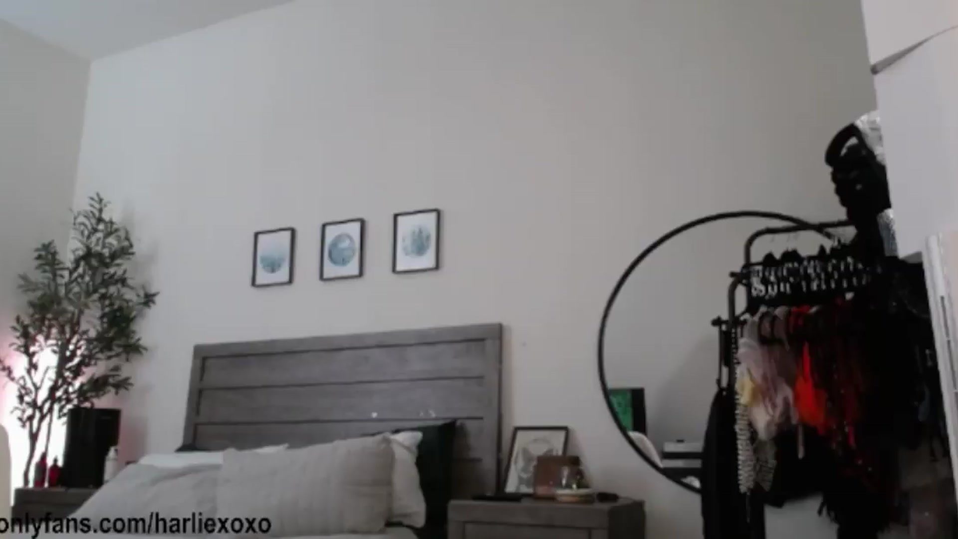 Gallery image thumbnail from SweetHarlie's myfreecams stream on, 08/18/2026, 04:02 image 7 of 20