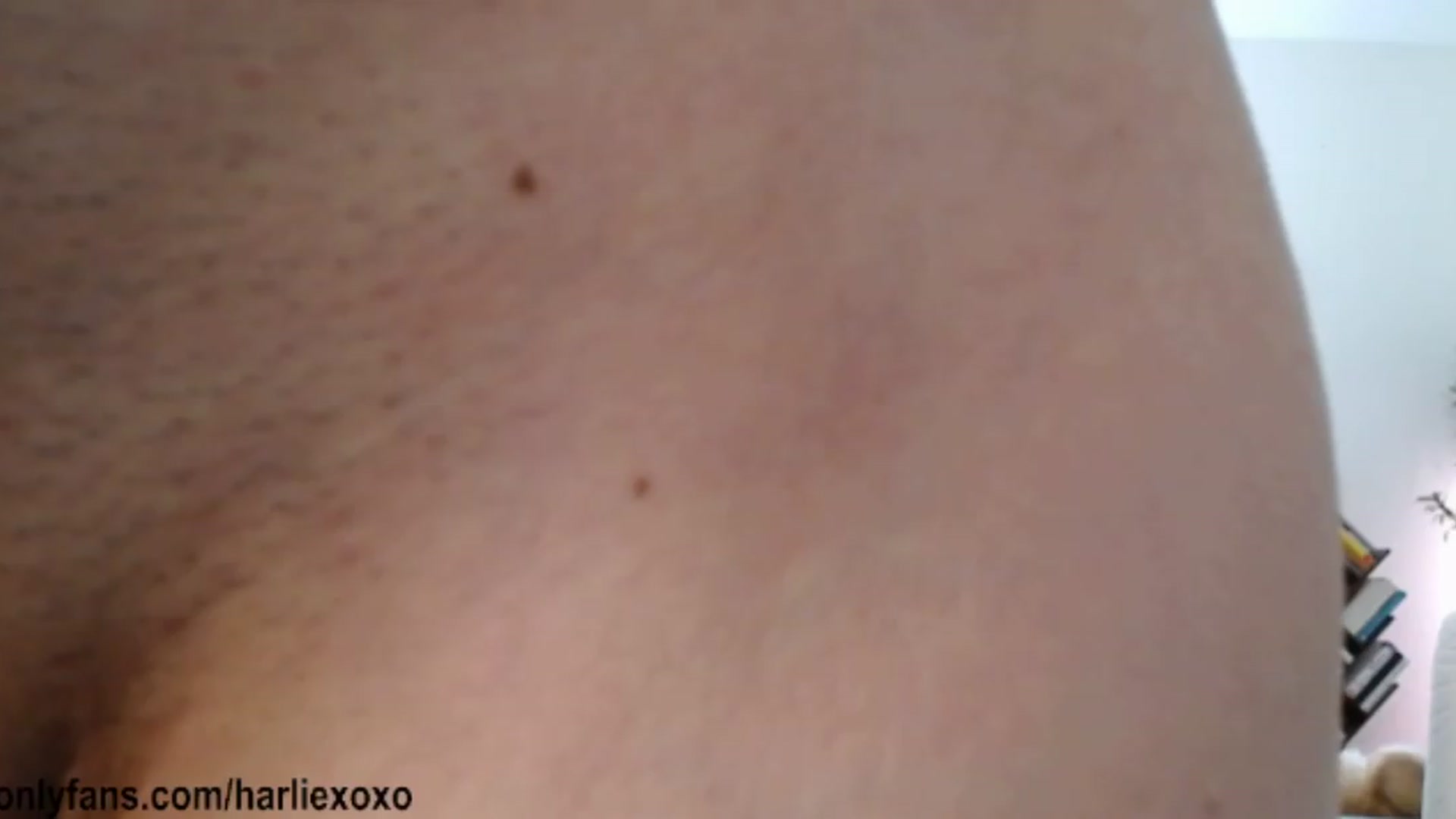 Gallery image thumbnail from SweetHarlie's myfreecams stream on, 08/19/2026, 03:38 image 6 of 20