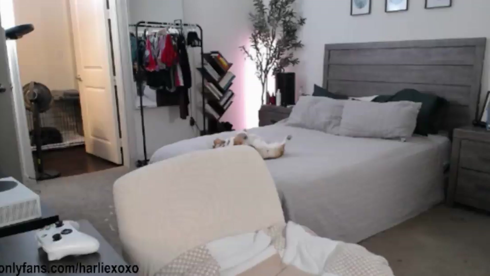 Gallery image thumbnail from SweetHarlie's myfreecams stream on, 08/22/2026, 02:11 image 1 of 20