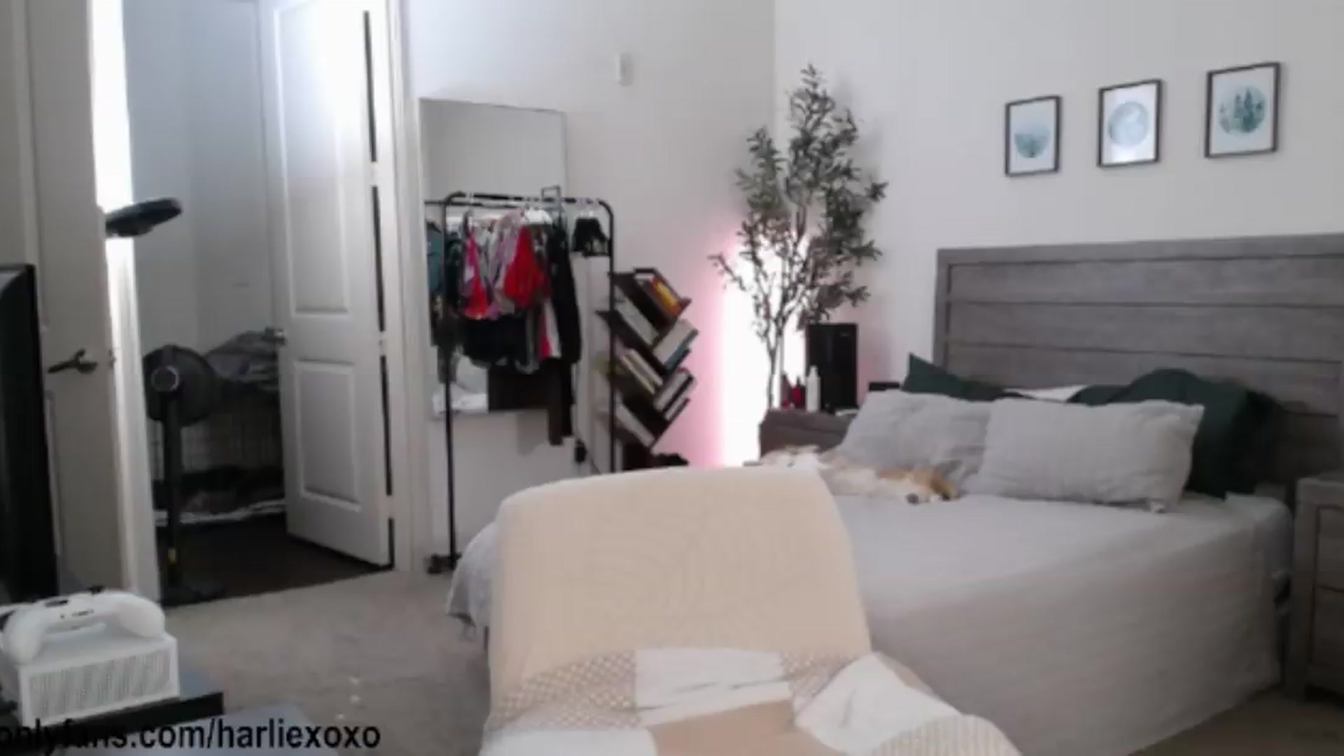 Gallery image thumbnail from SweetHarlie's myfreecams stream on, 08/22/2026, 03:44 image 9 of 20