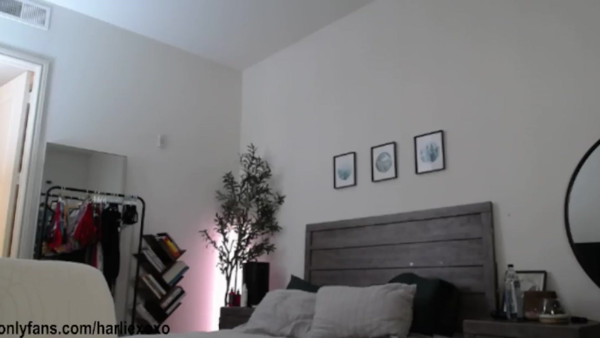Gallery image thumbnail from SweetHarlie's myfreecams stream on, 08/22/2026, 05:14 image 9 of 20