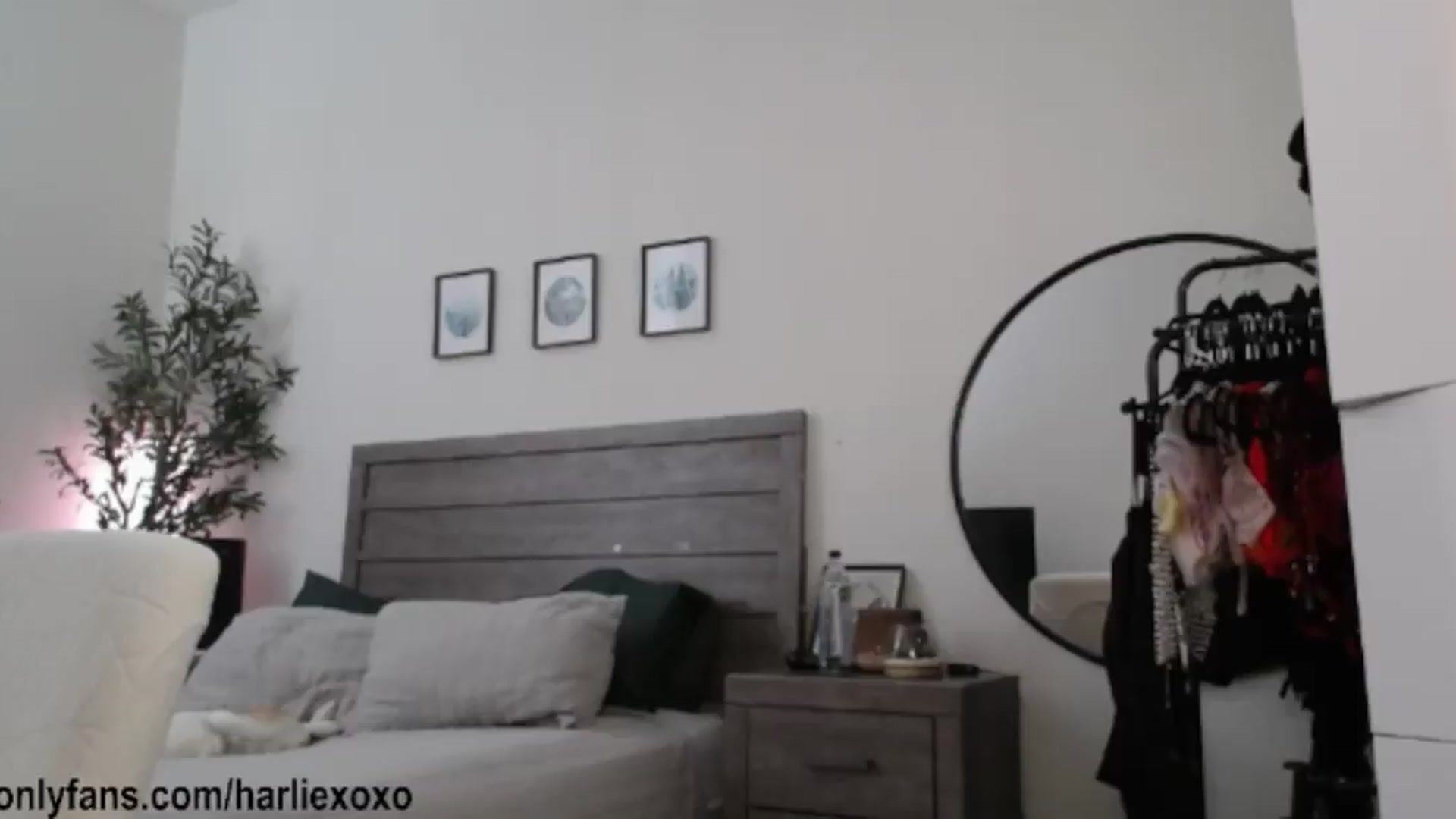 Gallery image thumbnail from SweetHarlie's myfreecams stream on, 08/22/2026, 05:14 image 1 of 20