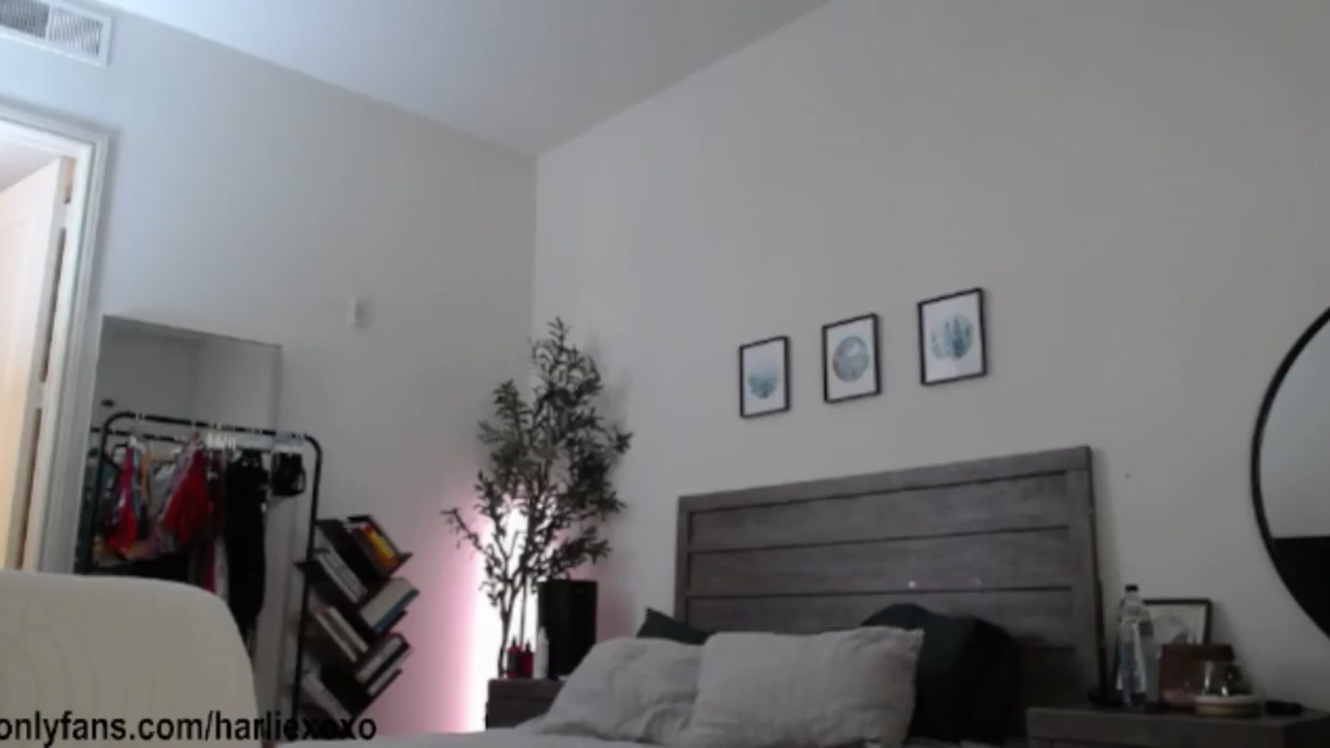 Gallery image thumbnail from SweetHarlie's myfreecams stream on, 08/22/2026, 05:14 image 10 of 20