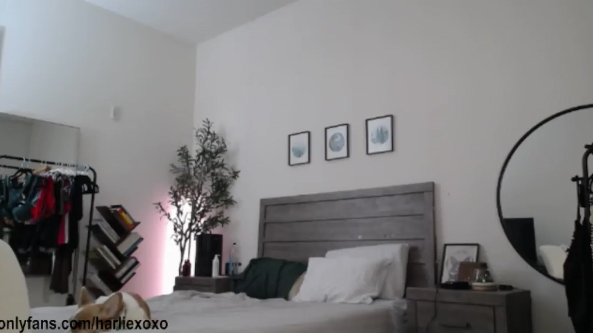 Gallery image thumbnail from SweetHarlie's myfreecams stream on, 08/30/2026, 02:14 image 15 of 20