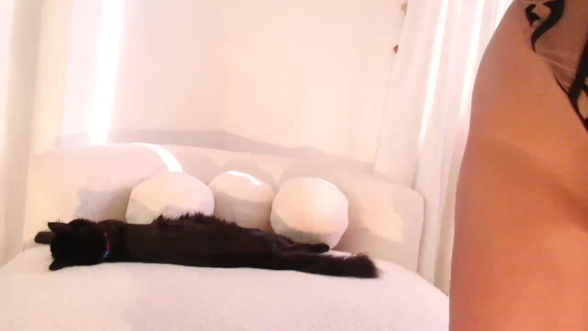 Gallery image thumbnail from SweetJulietha's myfreecams stream on, 05/26/2024, 12:15 image 12 of 20