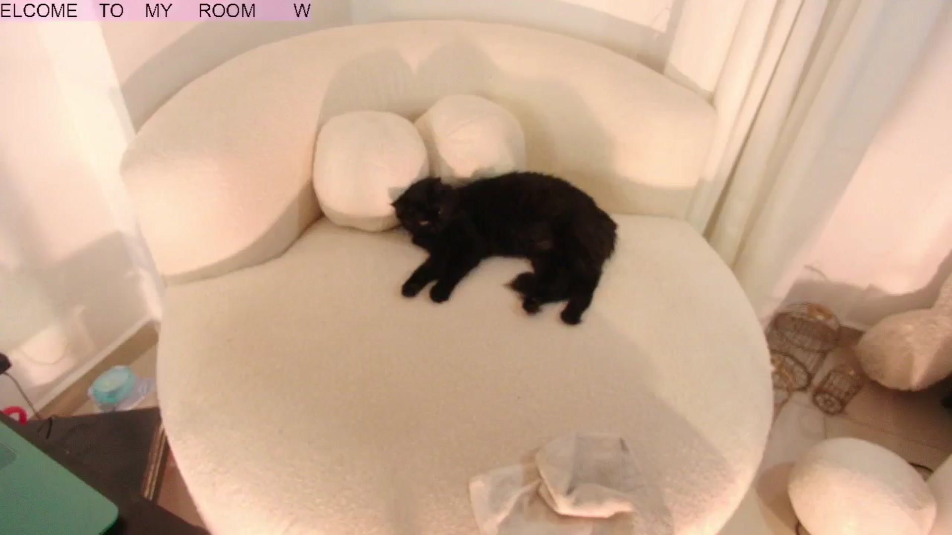 Gallery image thumbnail from SweetJulietha's myfreecams stream on, 06/23/2024, 11:21 image 8 of 20