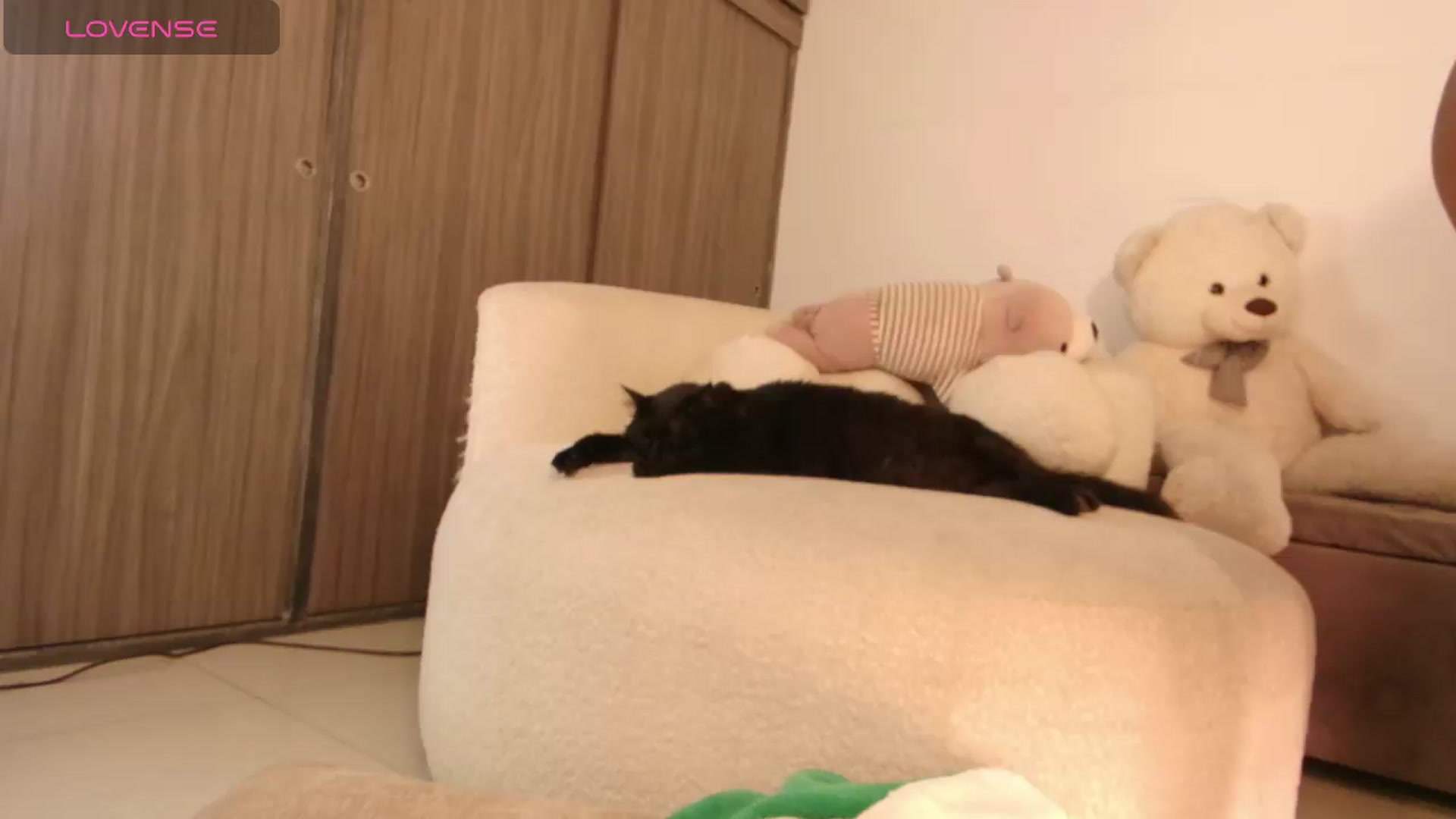 Gallery image thumbnail from SweetJulietha's myfreecams stream on, 07/11/2026, 09:58 image 19 of 20