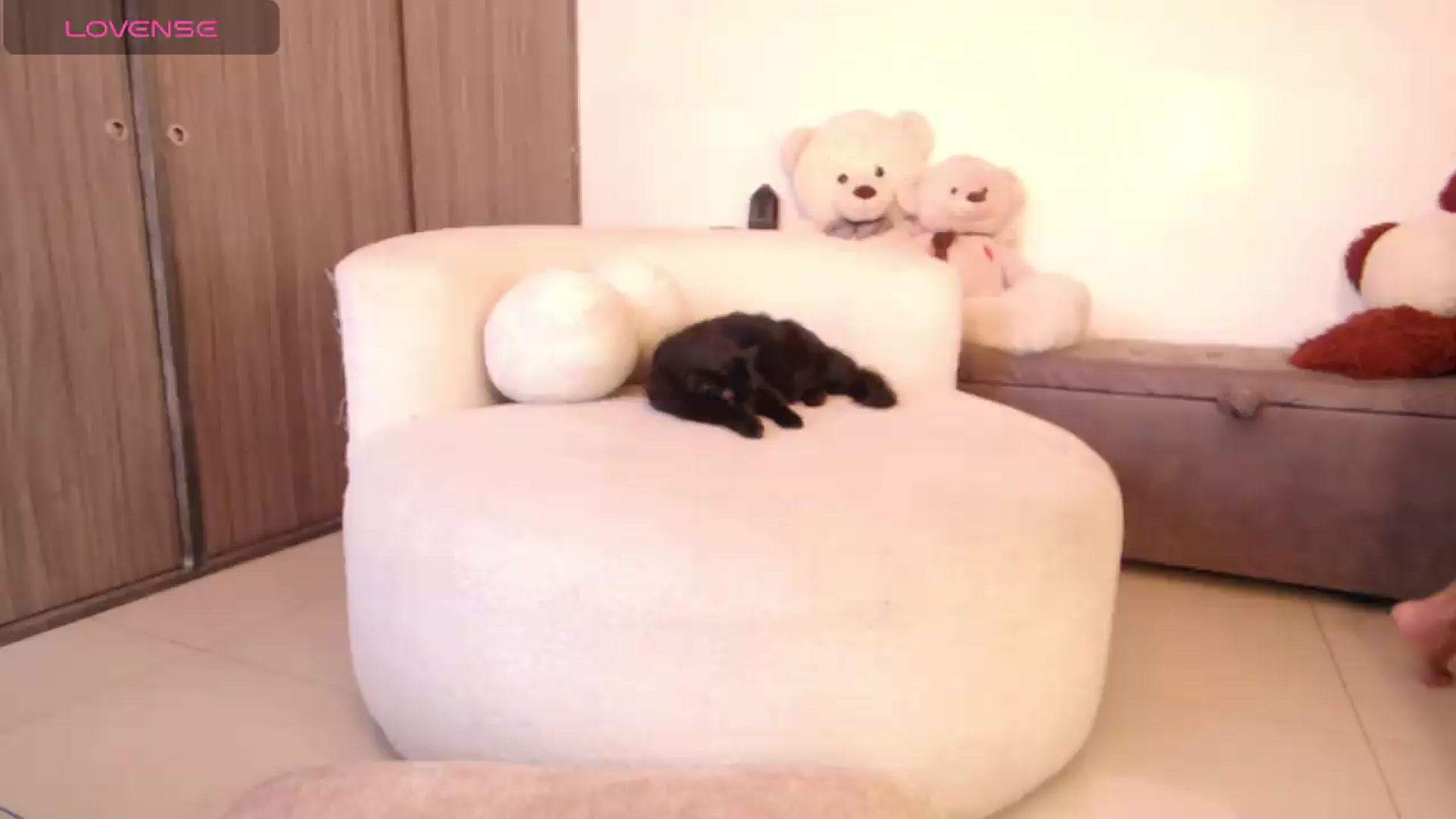 Gallery image thumbnail from SweetJulietha's myfreecams stream on, 09/02/2026, 13:52 image 6 of 20