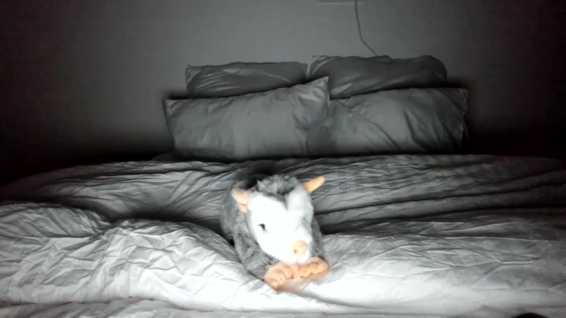 Gallery image thumbnail from SweetKlem's myfreecams stream on, 11/22/2022, 22:17 image 17 of 20