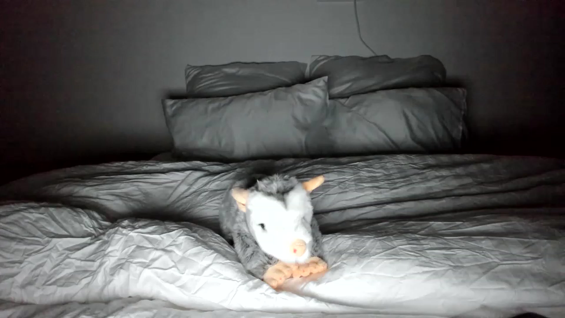 Gallery image thumbnail from SweetKlem's myfreecams stream on, 11/22/2022, 22:17 image 16 of 20
