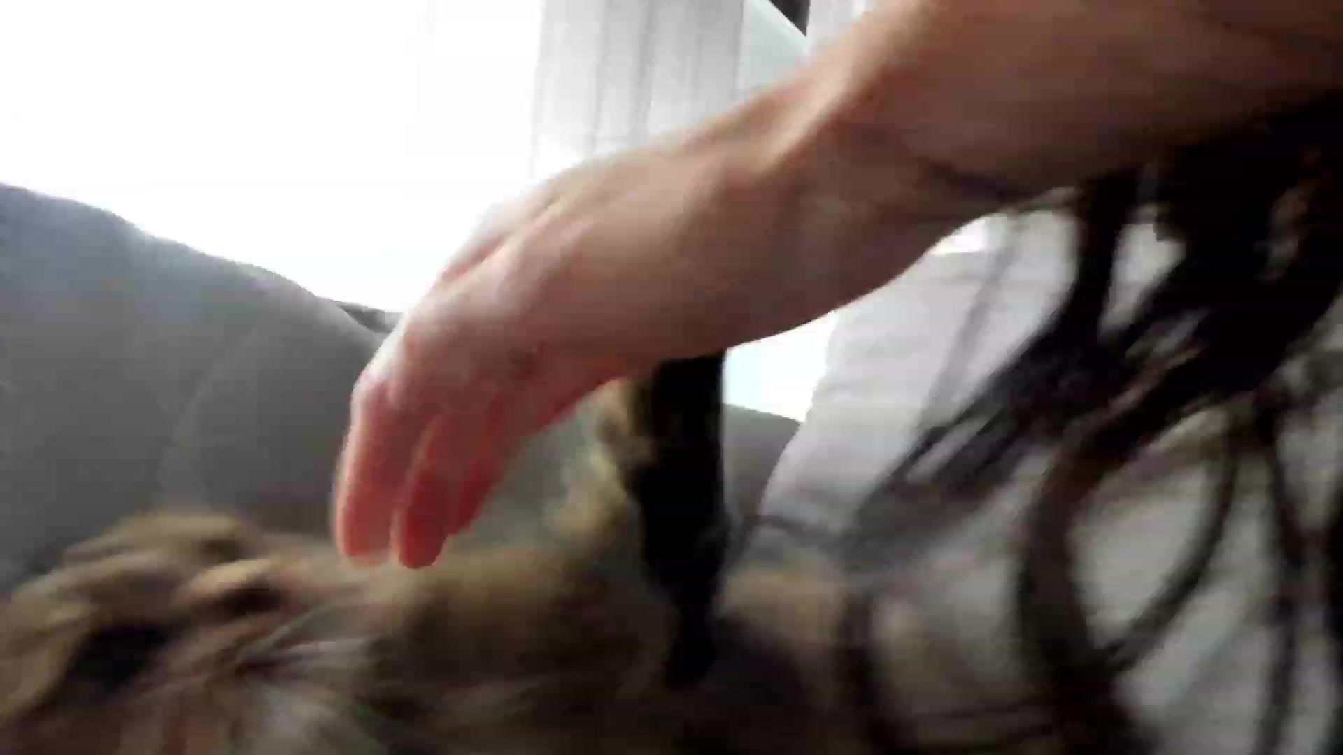 Gallery image thumbnail from SweetKlem's myfreecams stream on, 01/29/2023, 13:34 image 8 of 20