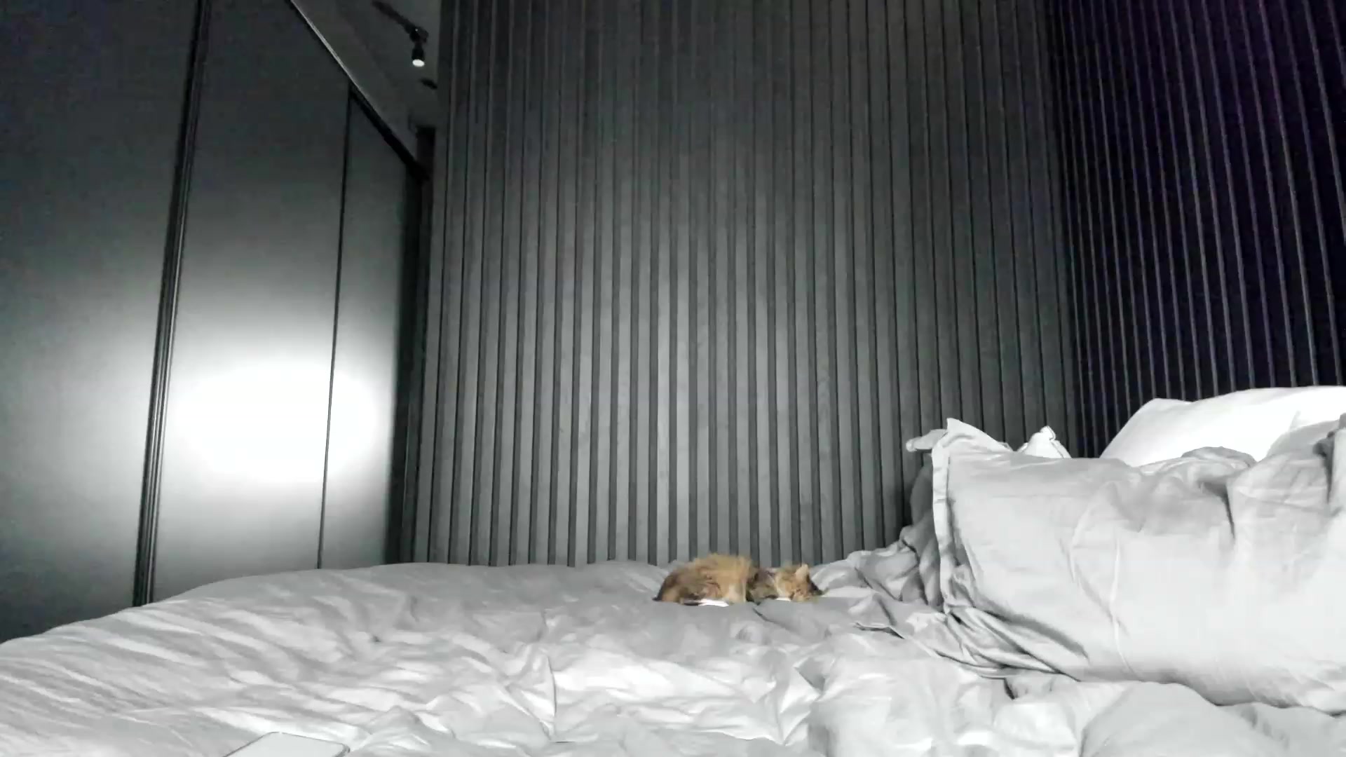 Gallery image thumbnail from SweetKlem's myfreecams stream on, 02/05/2023, 23:34 image 20 of 20