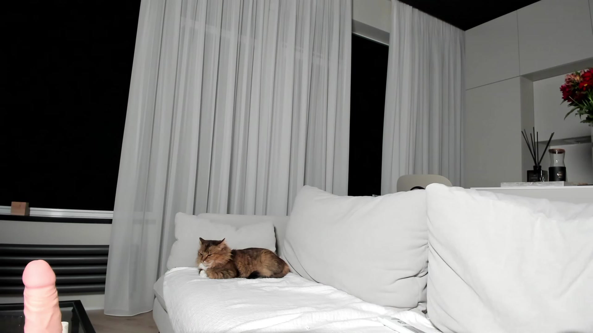 Gallery image thumbnail from SweetKlem's myfreecams stream on, 02/16/2023, 01:45 image 6 of 20