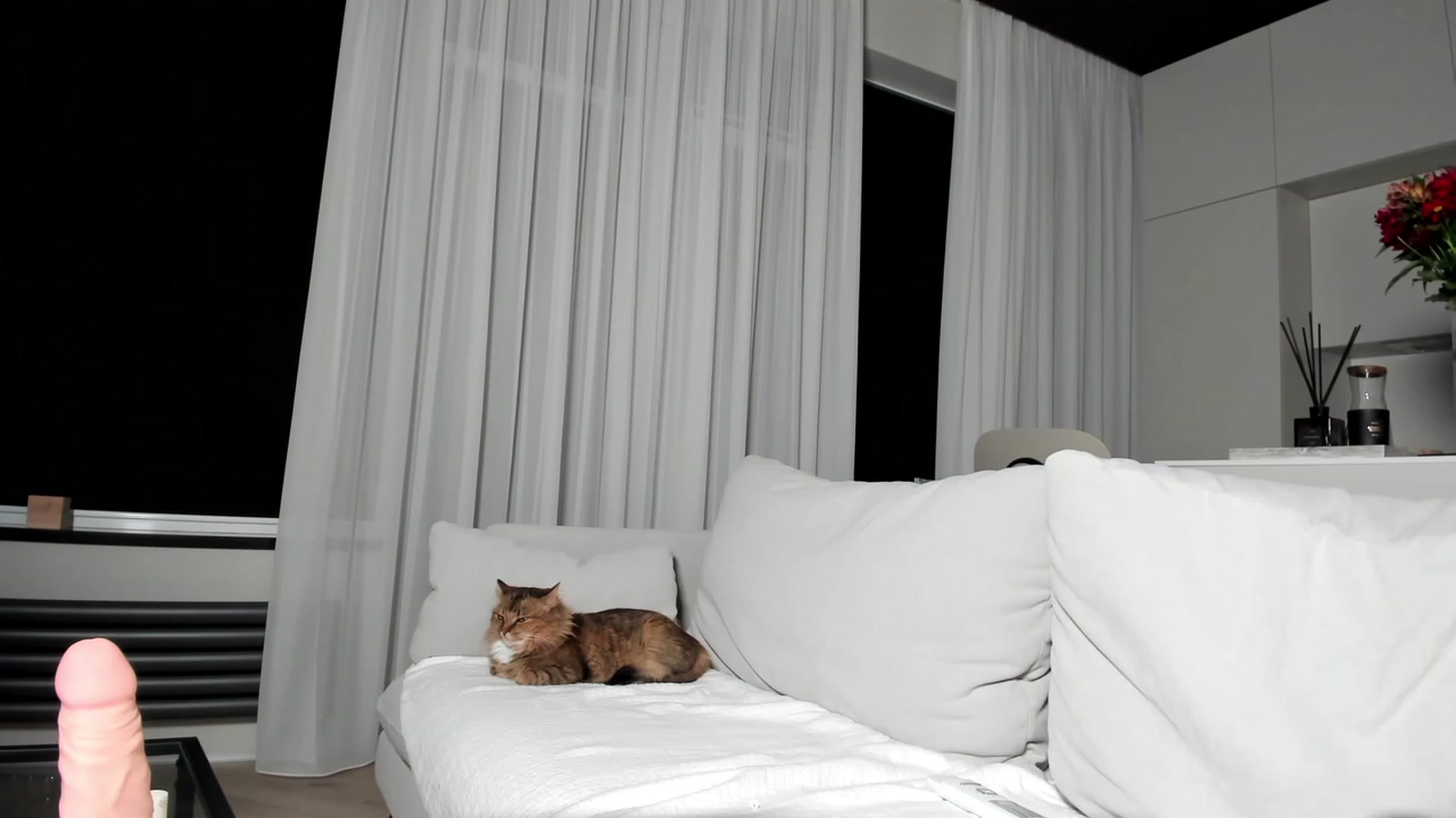 Gallery image thumbnail from SweetKlem's myfreecams stream on, 02/16/2023, 01:45 image 5 of 20