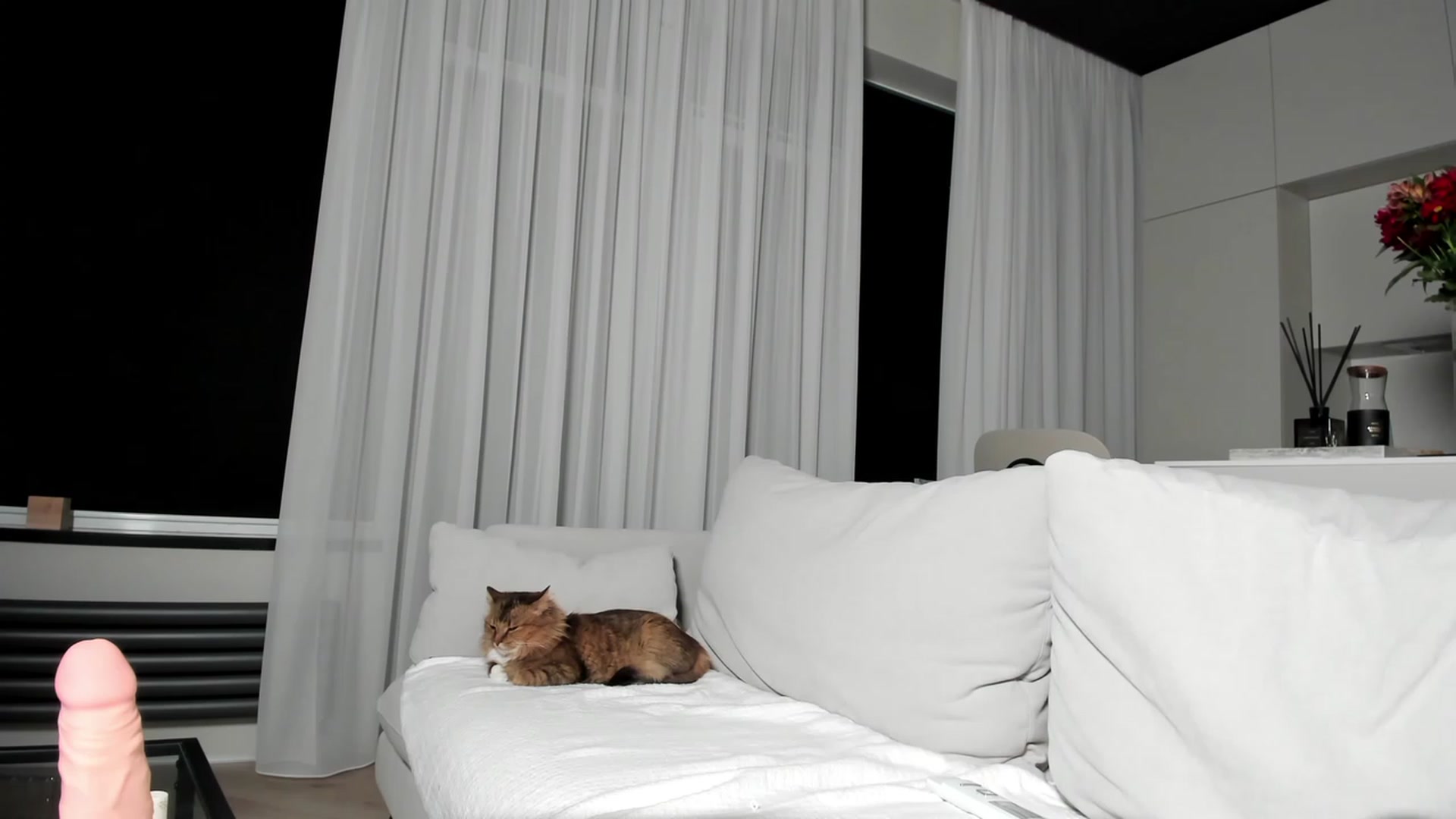 Gallery image thumbnail from SweetKlem's myfreecams stream on, 02/16/2023, 01:45 image 7 of 20