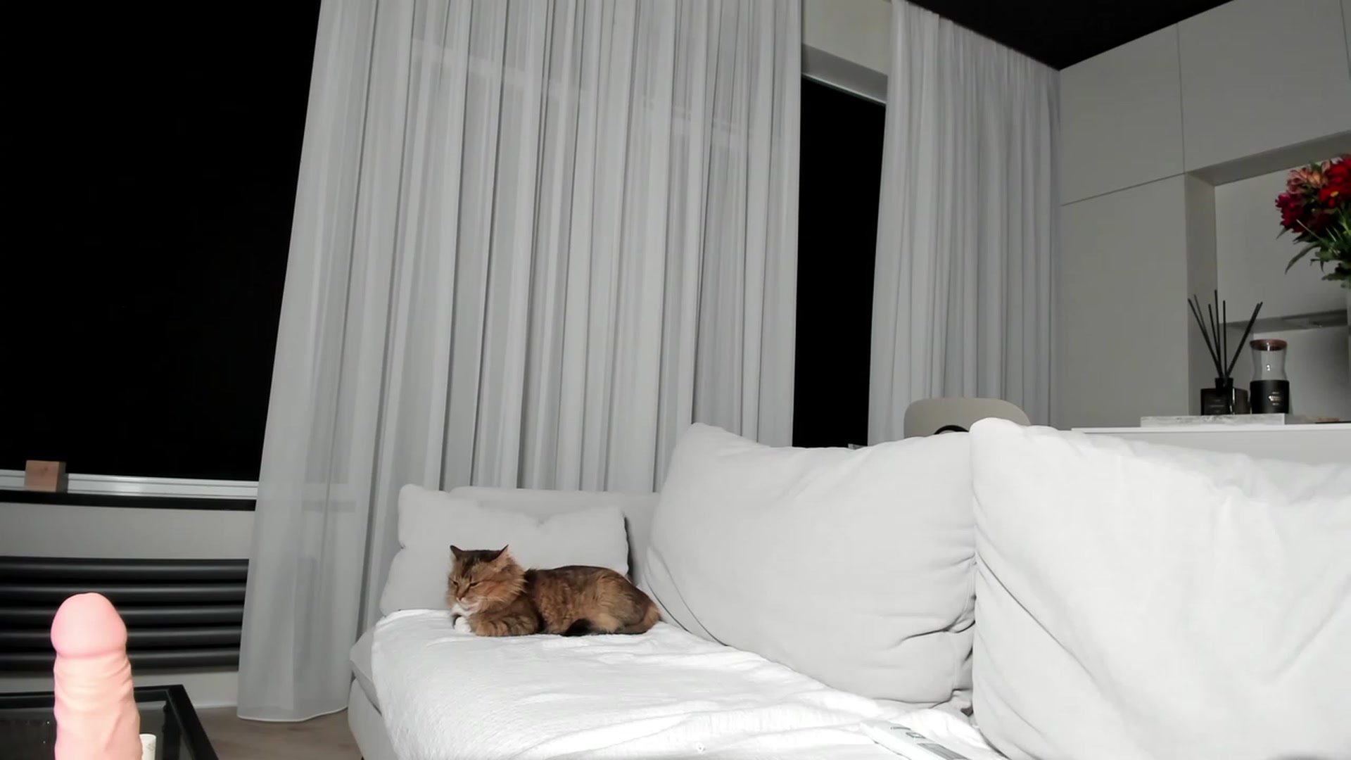 Gallery image thumbnail from SweetKlem's myfreecams stream on, 02/16/2023, 01:45 image 9 of 20