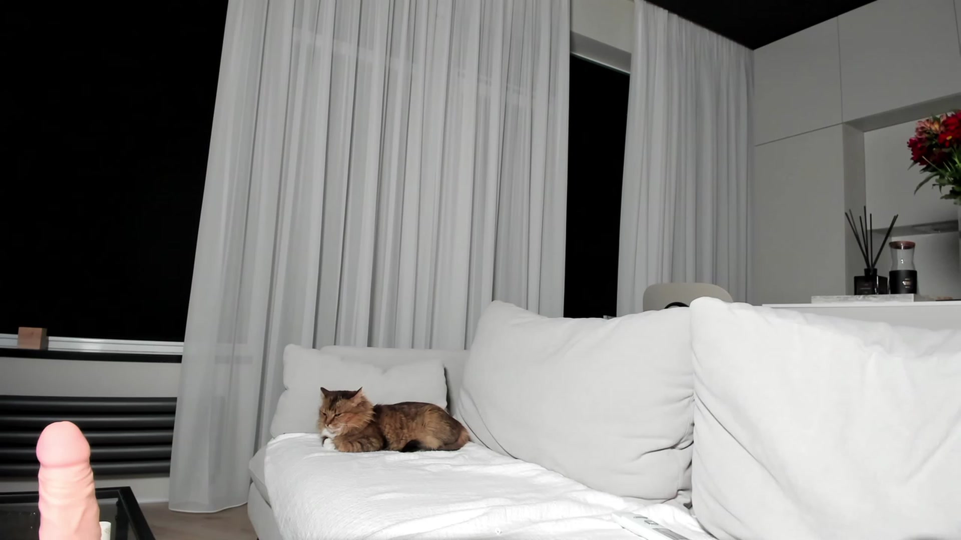 Gallery image thumbnail from SweetKlem's myfreecams stream on, 02/16/2023, 01:45 image 8 of 20