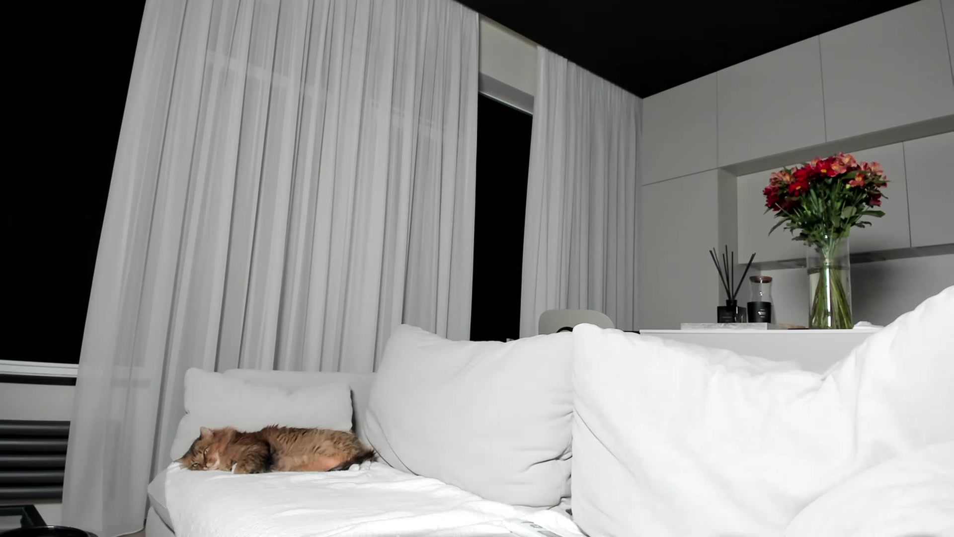 Gallery image thumbnail from SweetKlem's myfreecams stream on, 02/16/2023, 01:45 image 19 of 20
