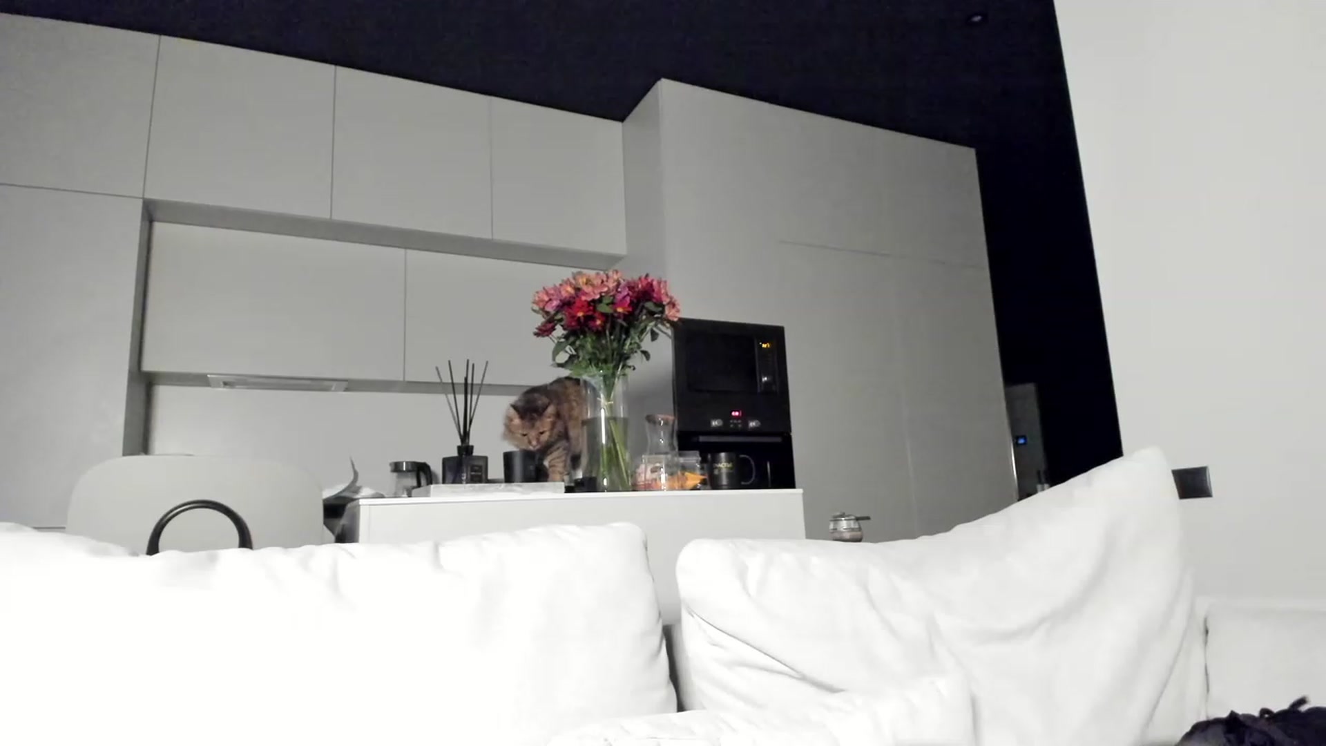Gallery image thumbnail from SweetKlem's myfreecams stream on, 02/17/2023, 16:36 image 10 of 20