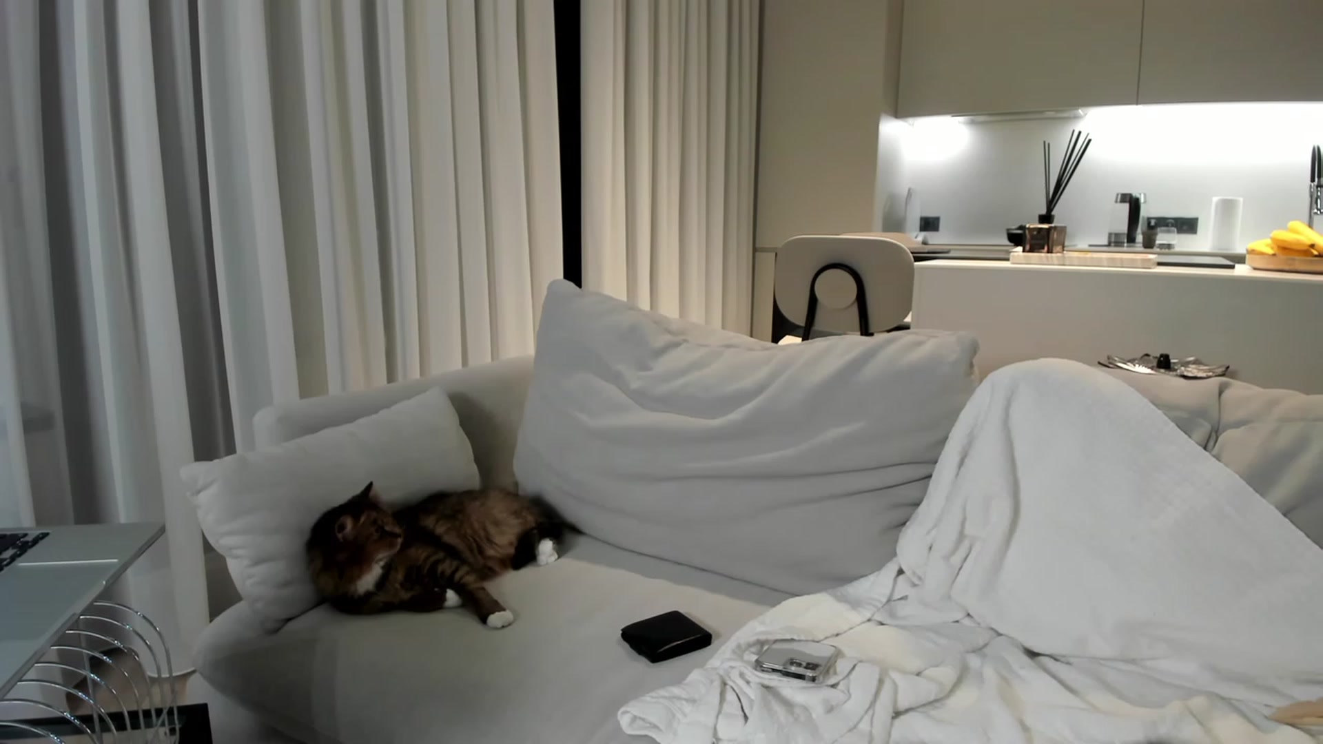 Gallery image thumbnail from SweetKlem's myfreecams stream on, 03/07/2023, 20:35 image 2 of 20