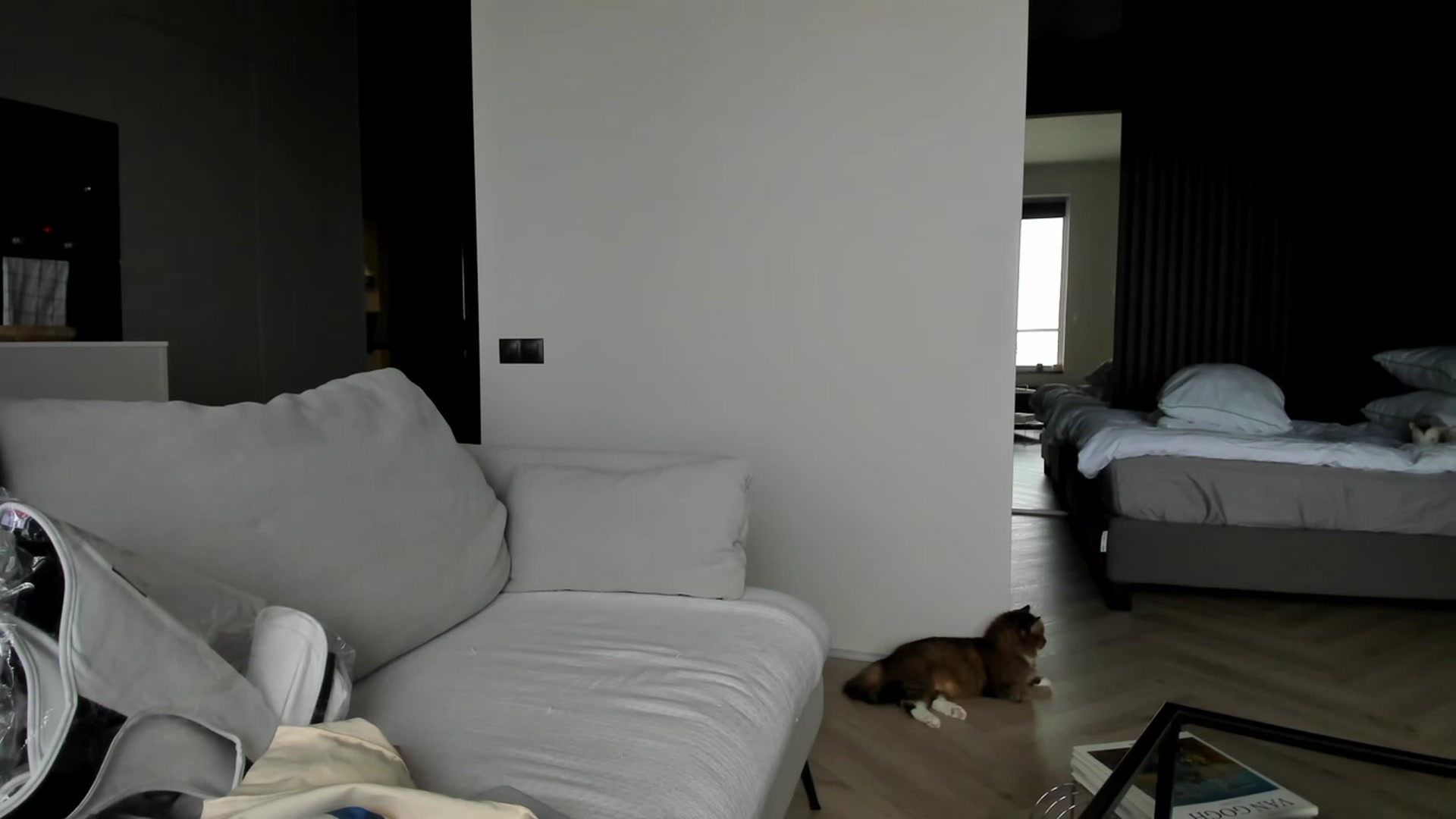 Gallery image thumbnail from SweetKlem's myfreecams stream on, 03/24/2023, 13:17 image 6 of 20