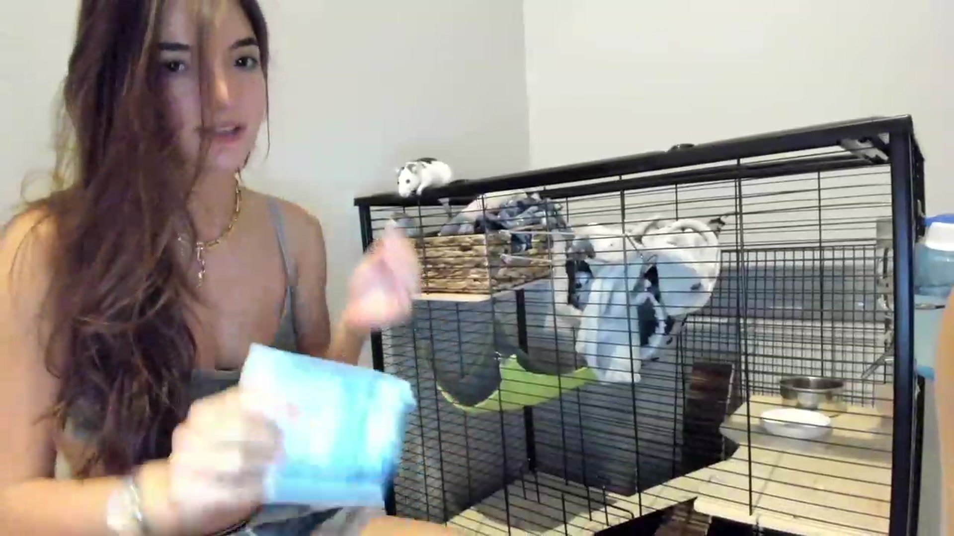 Gallery image thumbnail from SweetKlem's myfreecams stream on, 07/15/2023, 22:51 image 13 of 20